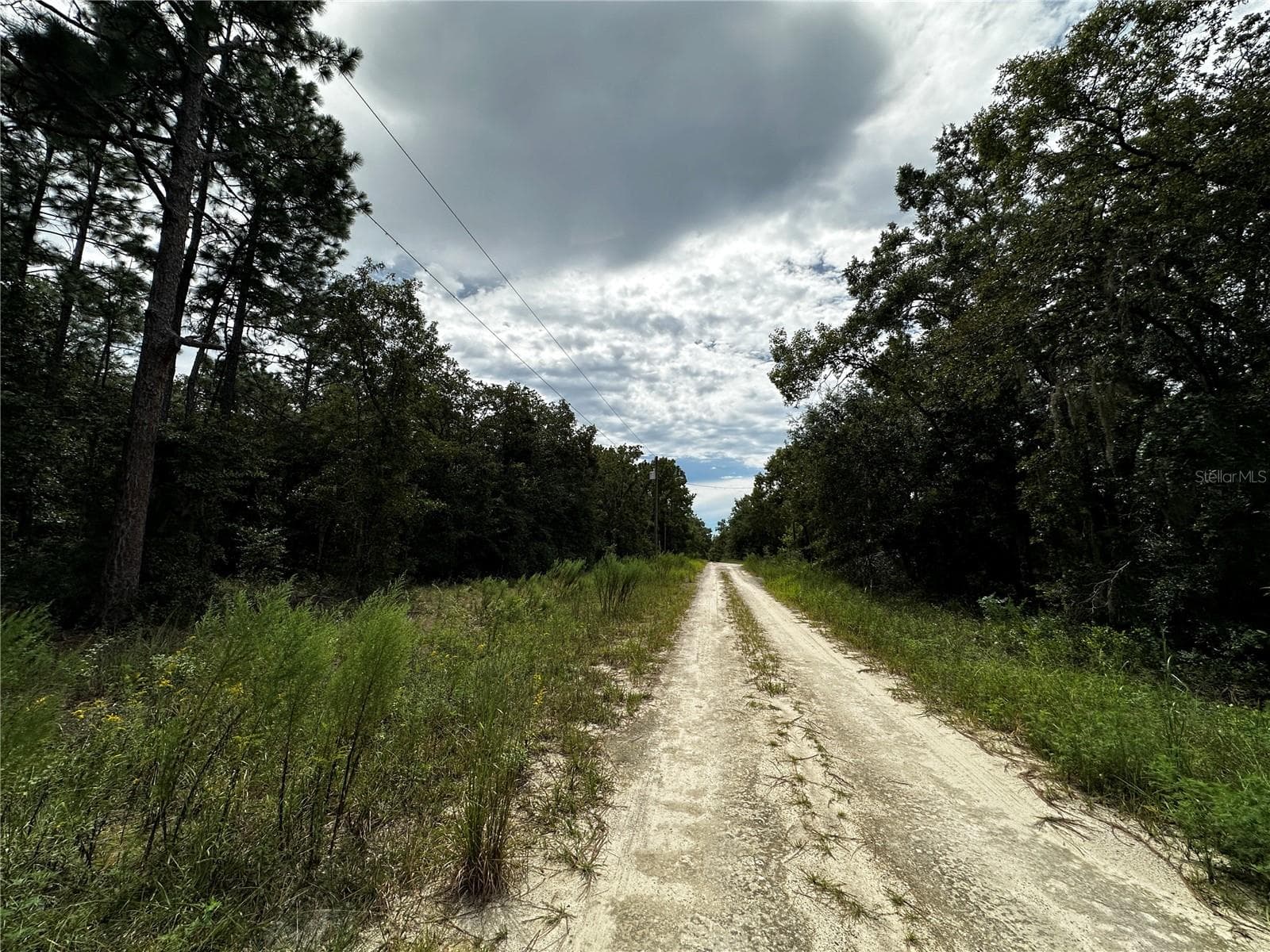 Land at 0000 NE 155TH CT, WILLISTON, photo 13 of 14