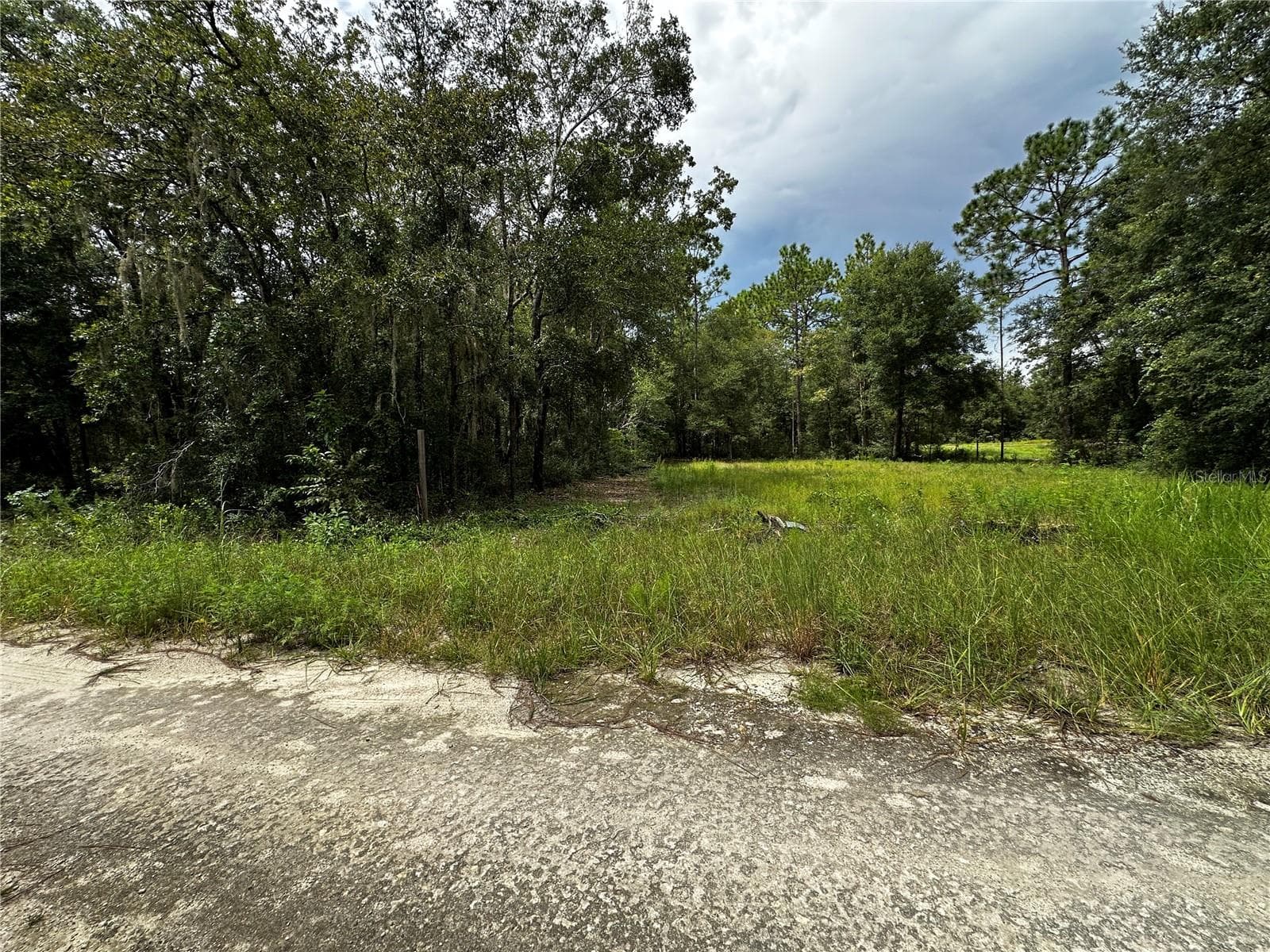 Land at 0000 NE 155TH CT, WILLISTON, photo 14 of 14
