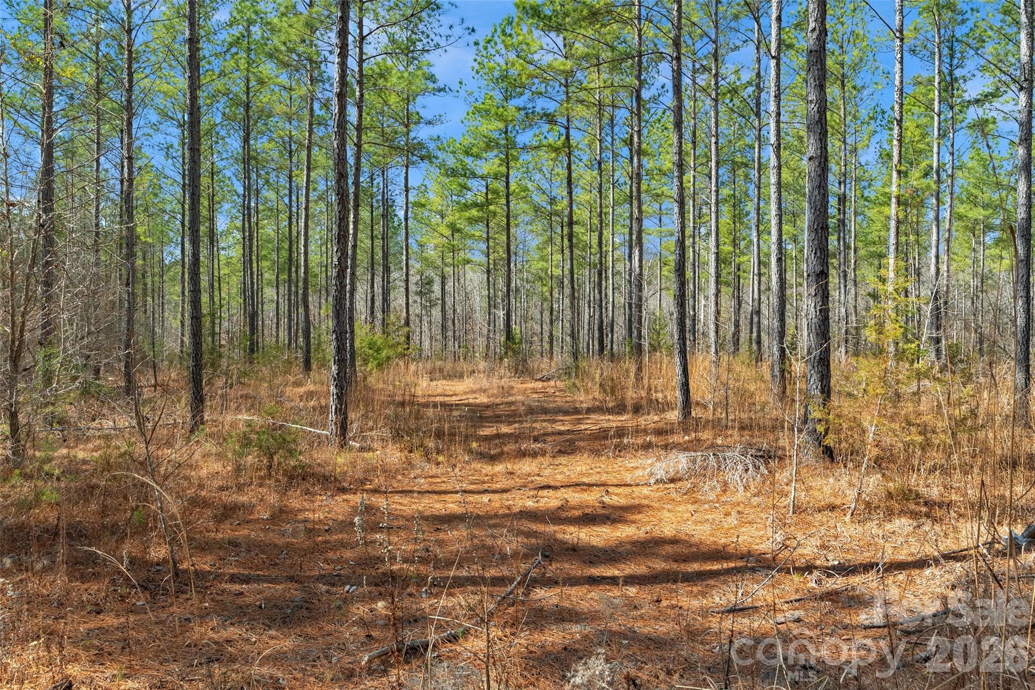 ample space for peace, privacy, and custom home - 000 Peacehaven Road, McConnells