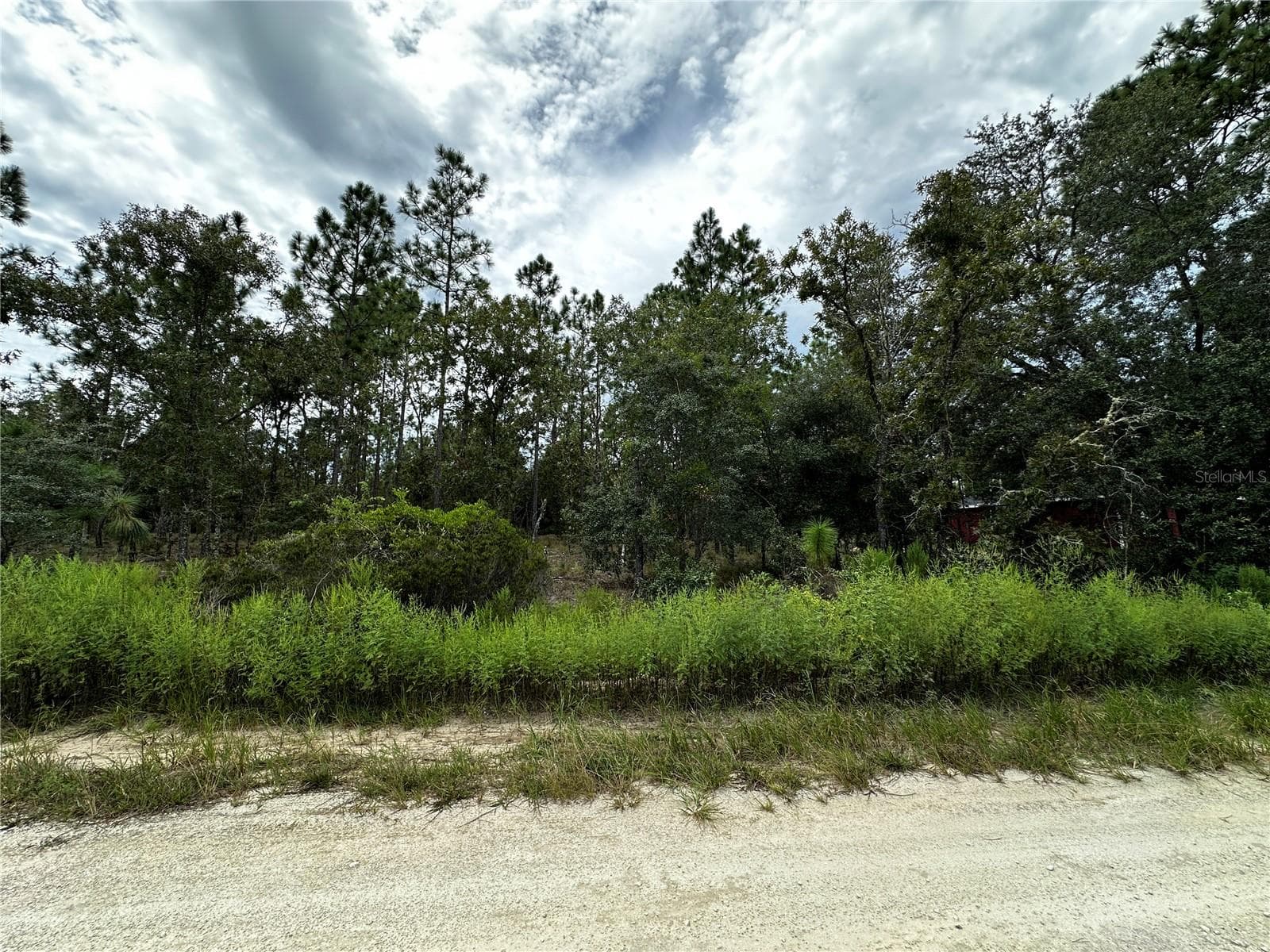 Land at 0000 NE 149TH CT, WILLISTON, photo 3 of 8