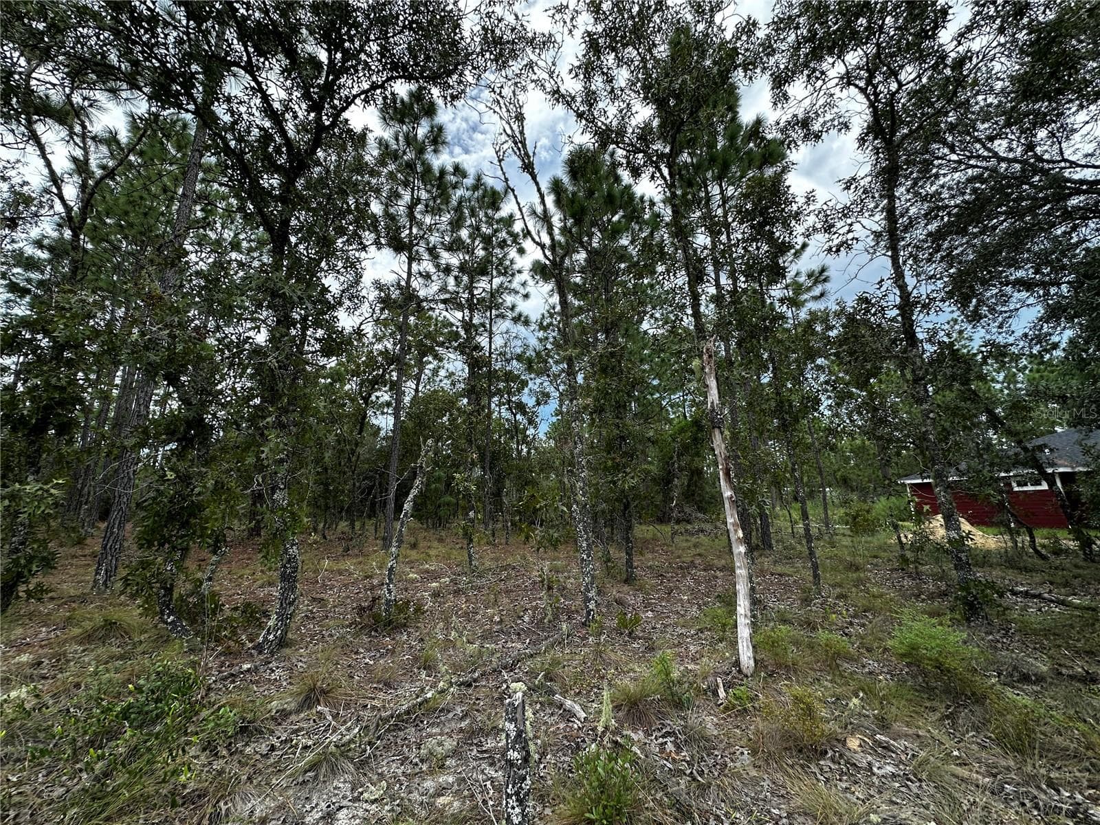 Land at 0000 NE 149TH CT, WILLISTON, photo 7 of 8