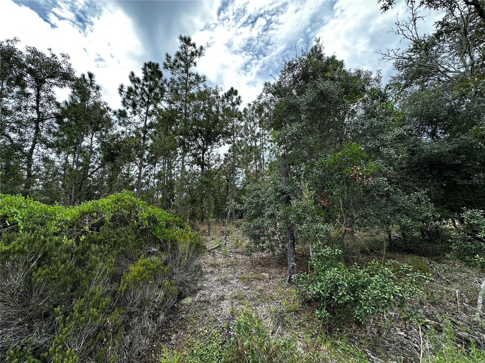 Land at 0000 NE 149TH CT, WILLISTON, photo 8 of 8