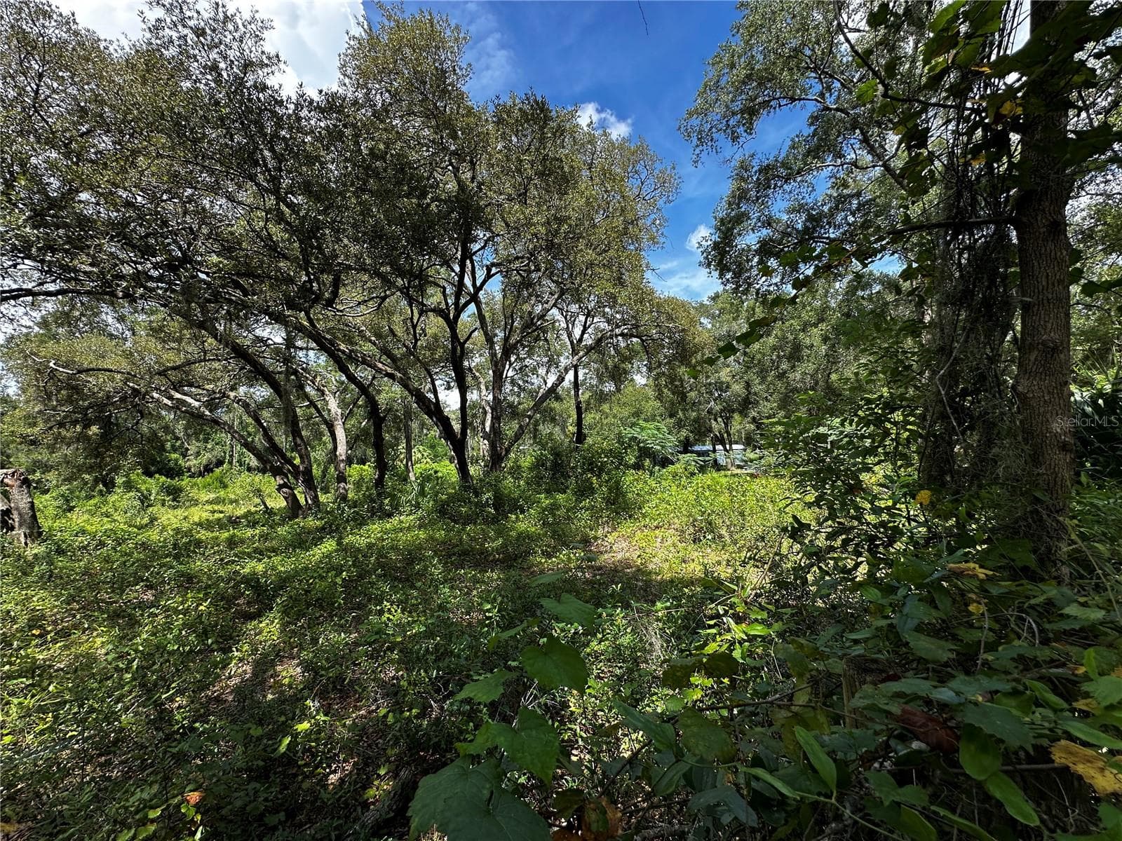 Land at 418 N PINE ST, BRONSON, photo 23 of 63