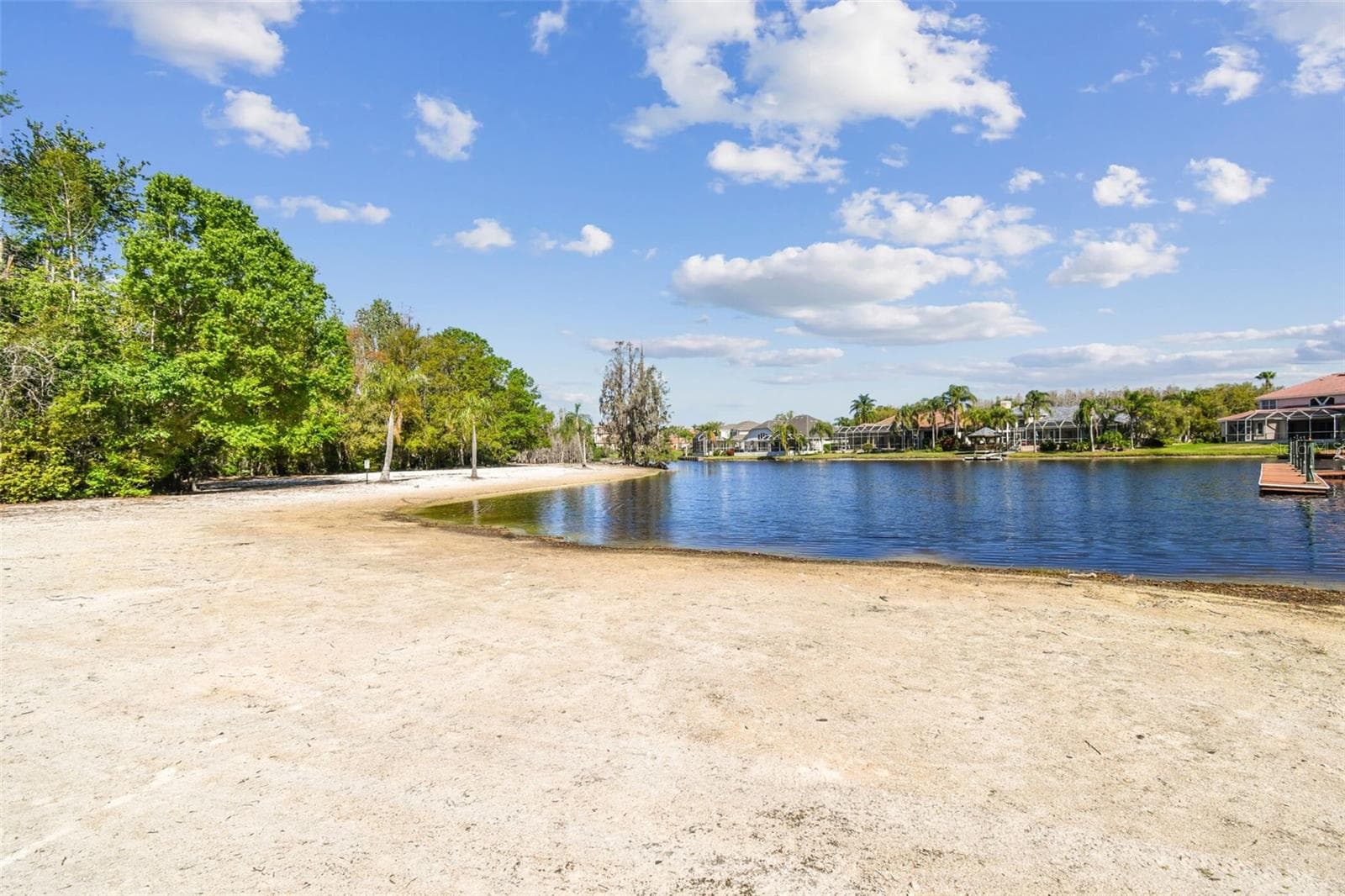 Single Family Residence at 10801 BARBADOS ISLE DR, TAMPA, photo 96 of 100