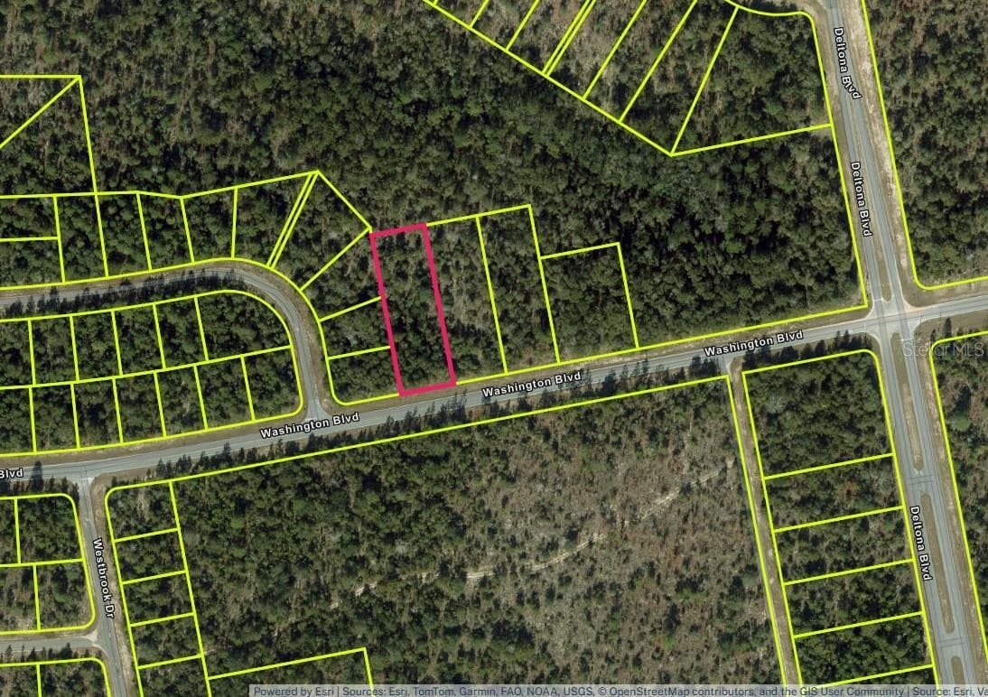 Lot 26 Unit 6 Blk 365 WASHINGTON BLVD