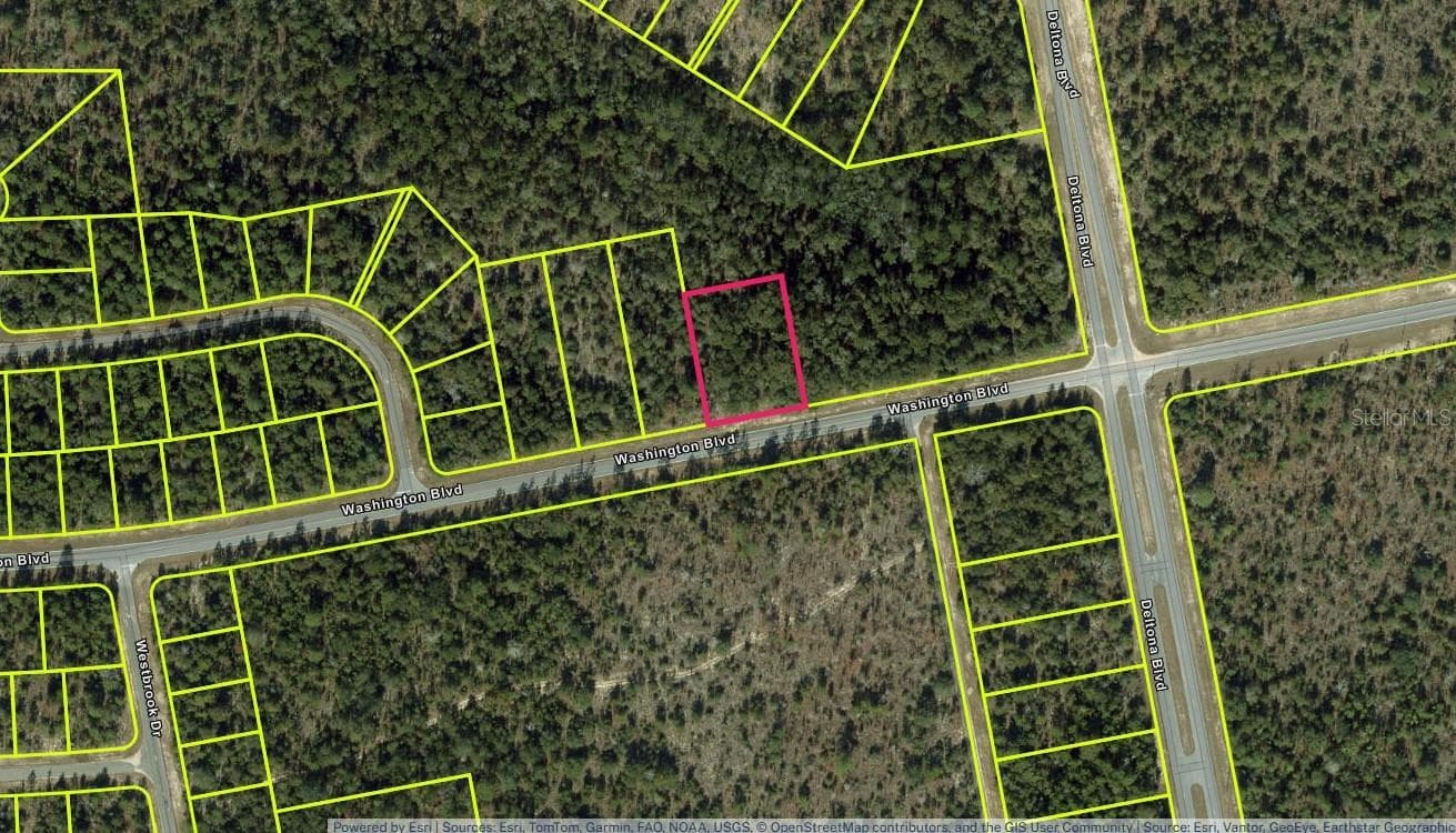 Lot 29 Unit 6 Blk 365 WASHINGTON BLVD