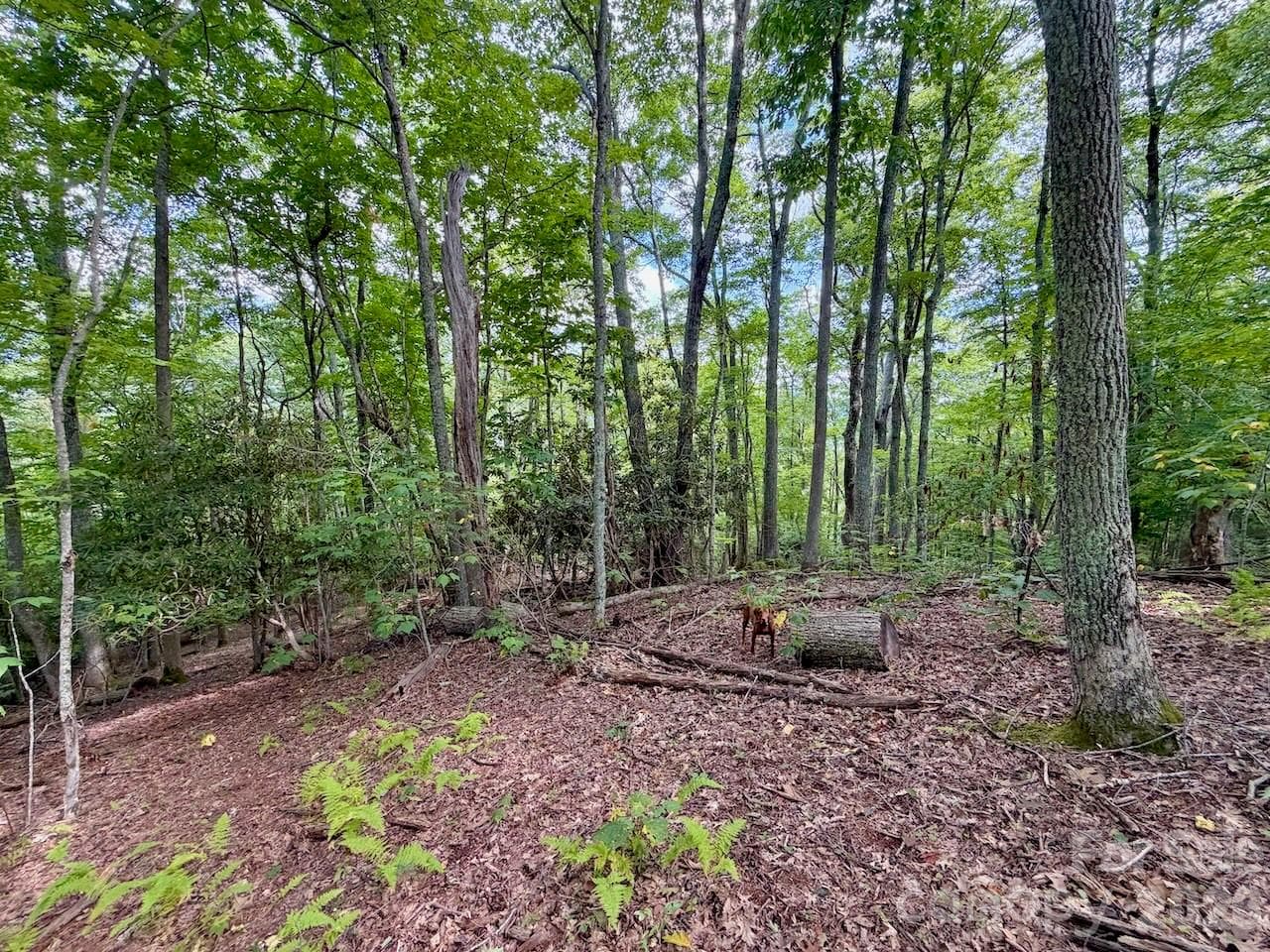 TBD Galax Lane