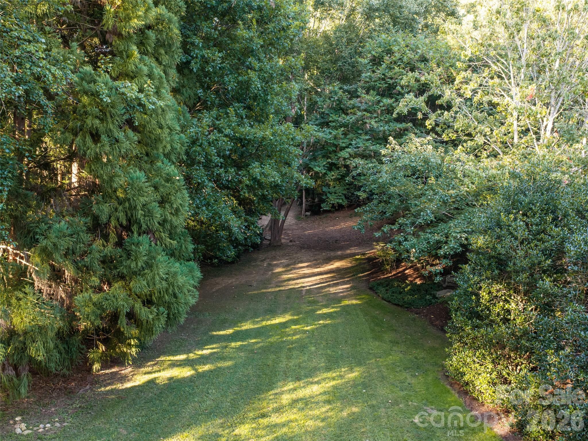 Side Yard - 17 Amherst Road, Biltmore Forest