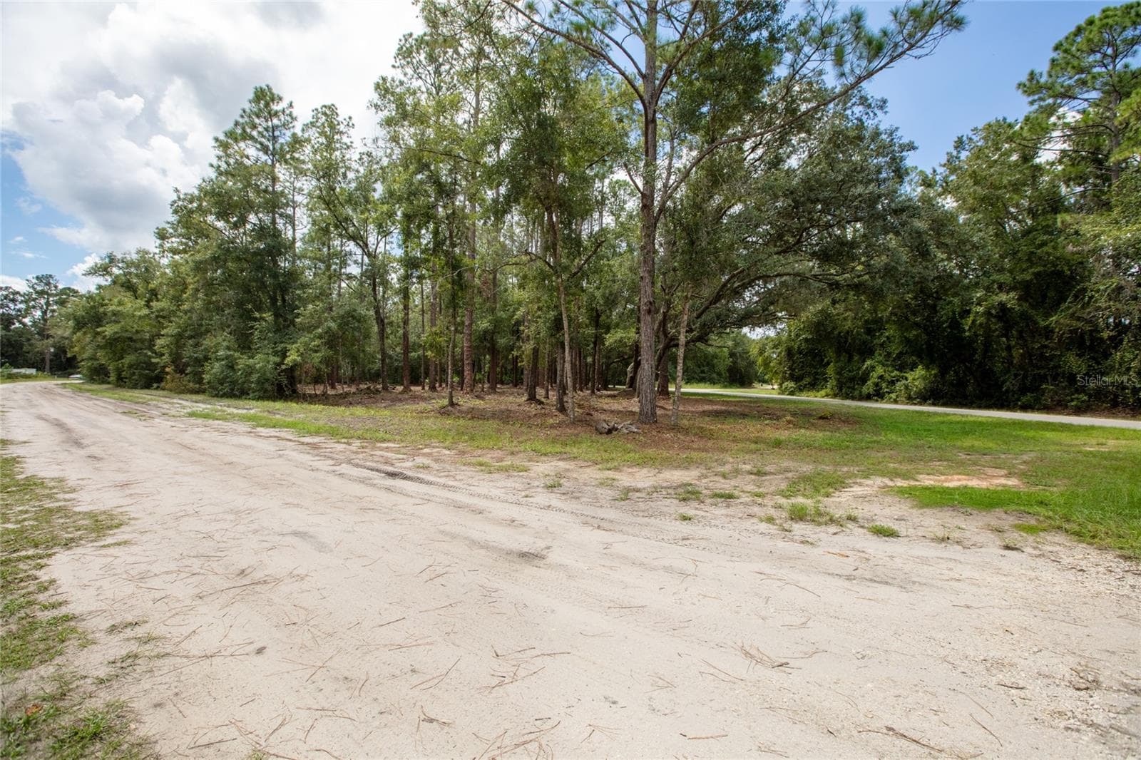 Land at W HILLSBOROUGH AVE, FLORAHOME, photo 4 of 18