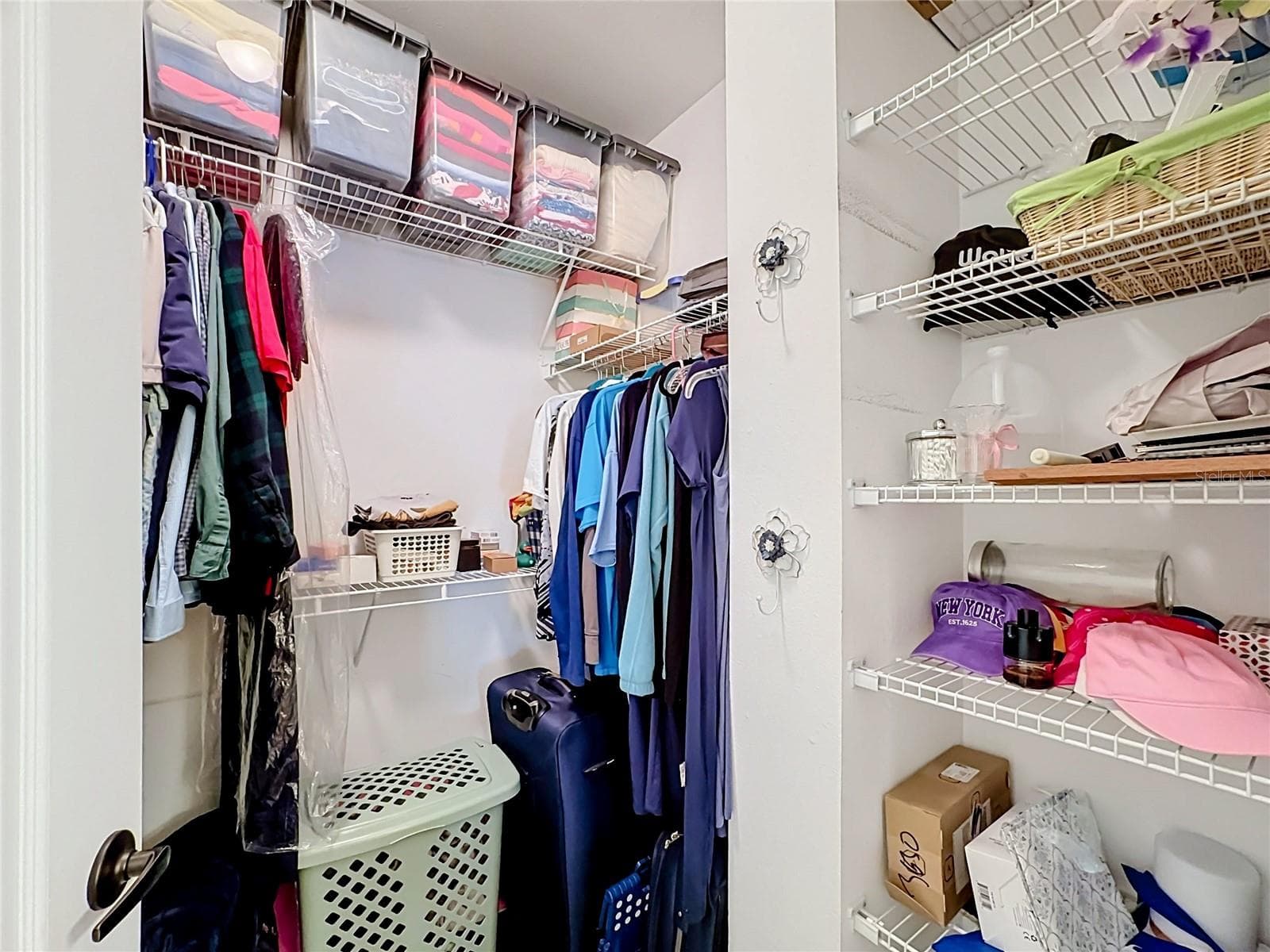 Master Closet - 509 MIRASOL CIR #302, CELEBRATION