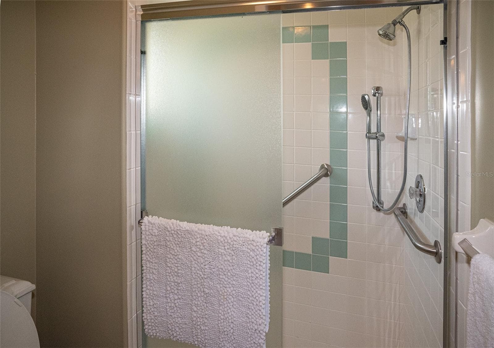 Shower with glass doors - 8351 CREEKVIEW LN, ENGLEWOOD