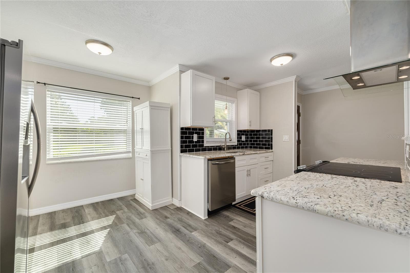 Single Family Residence at 29786 67TH WAY N, CLEARWATER, photo 8 of 34