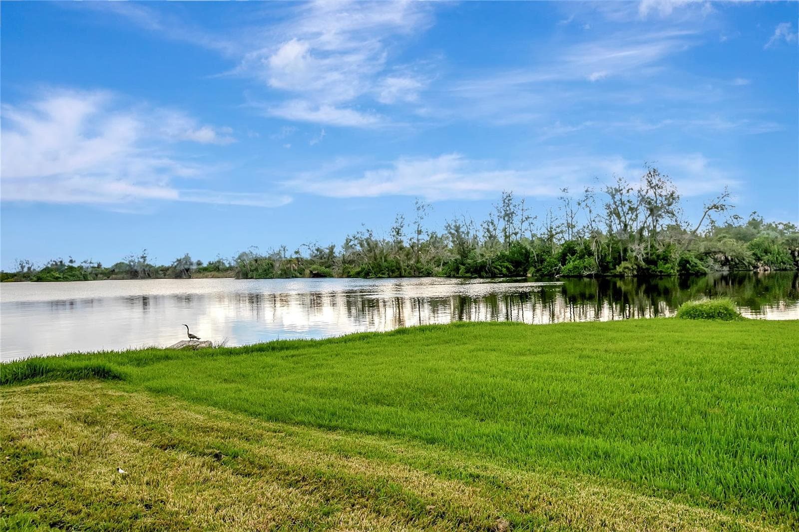 Single Family Residence at 5028 INSHORE LANDING DR, APOLLO BEACH, photo 55 of 56