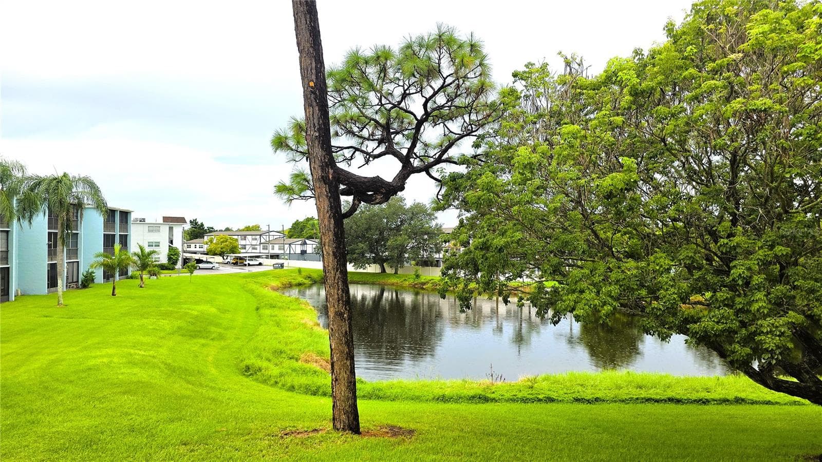 Condominium at 1450 HEATHER RIDGE BLVD #201, DUNEDIN, photo 33 of 56