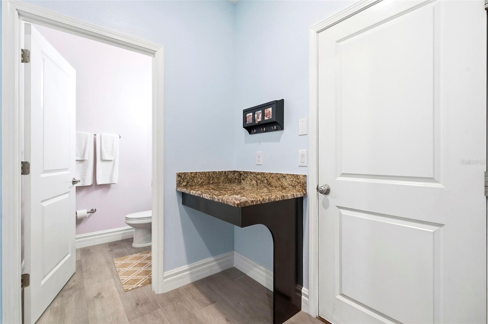 Downstairs Half Bath, Garage Entry - 917 TERRA VISTA ST, BRANDON