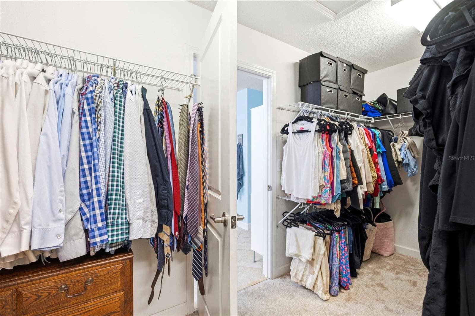 Primary Walk In Closet - 917 TERRA VISTA ST, BRANDON