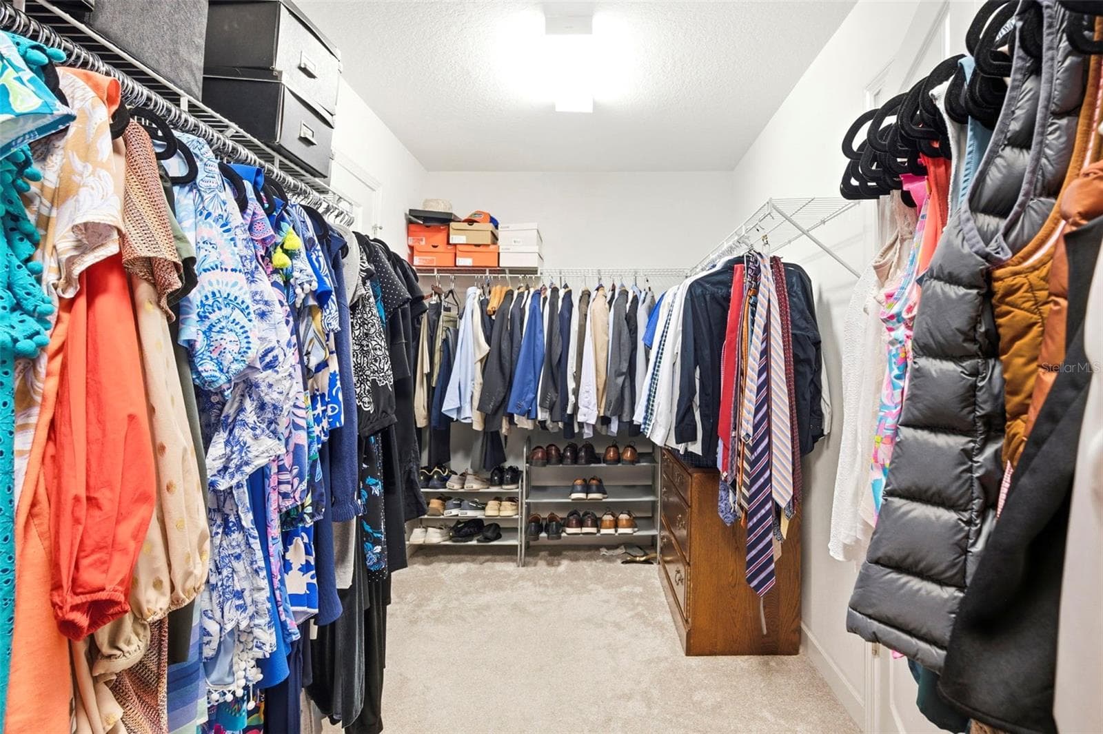 Primary Walk In Closet - 917 TERRA VISTA ST, BRANDON