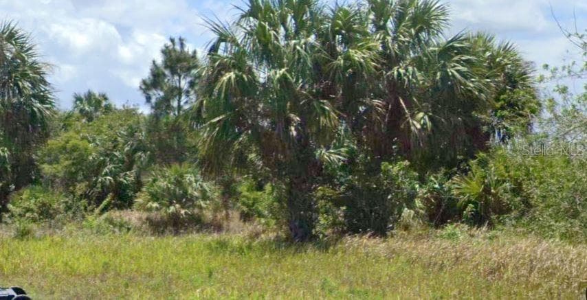 Land at 896 LAIKA RD SW, PALM BAY, photo 2 of 4