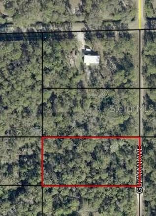 Land at 108?? GUZMAN AVE, HASTINGS, photo 2 of 4