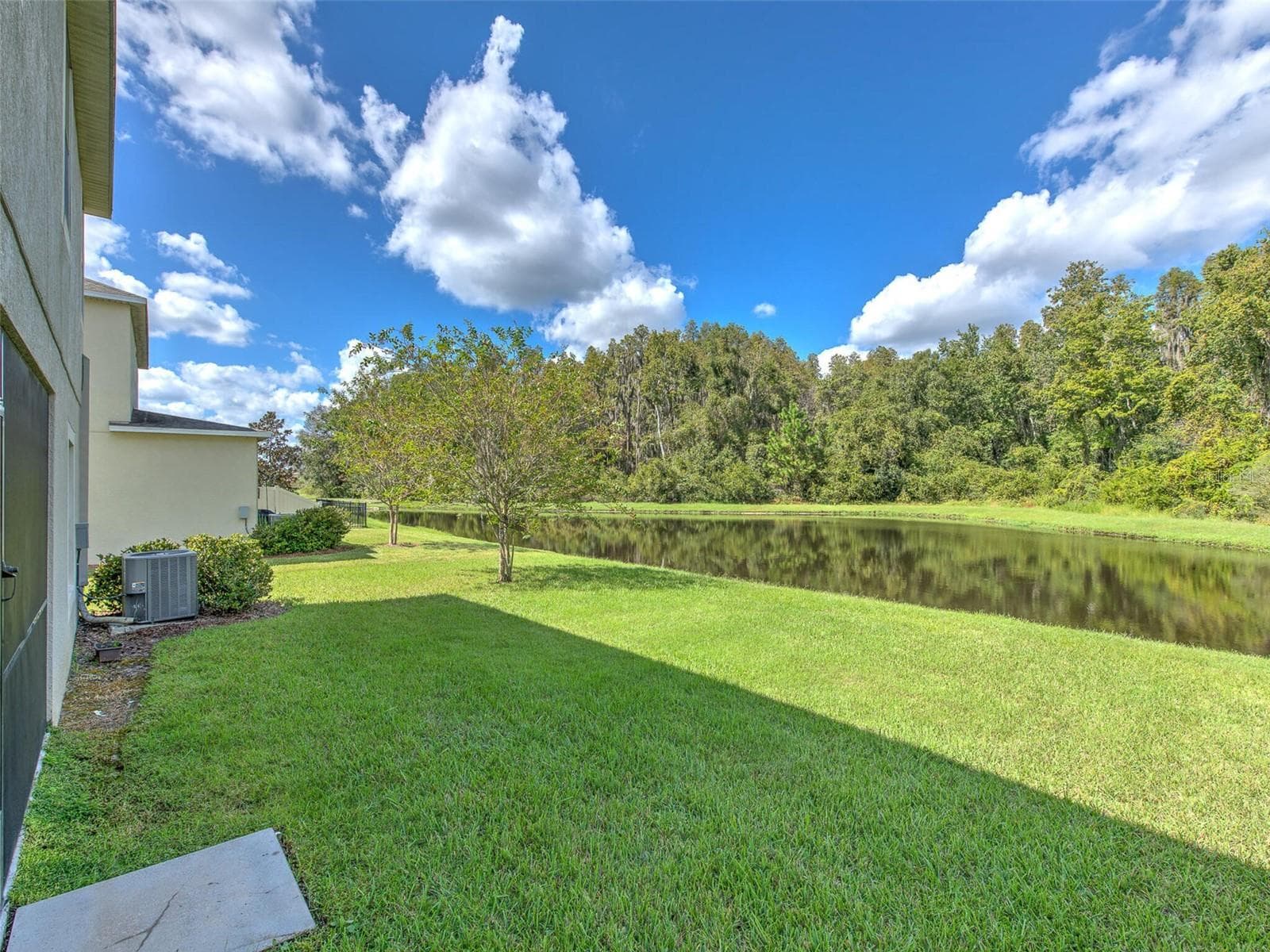 Single Family Residence at 1677 LUDINGTON AVE, WESLEY CHAPEL, photo 5 of 32
