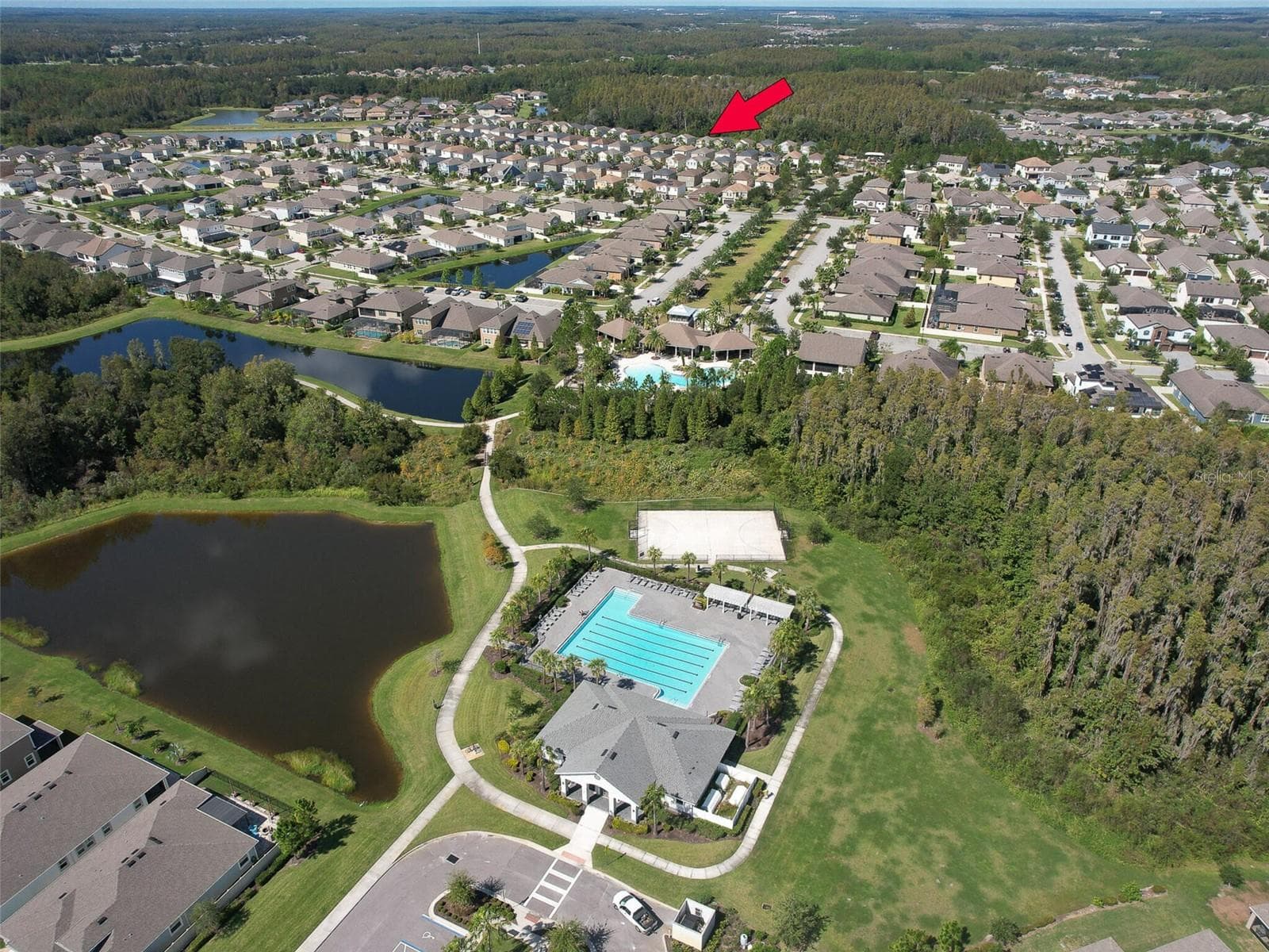 Single Family Residence at 1677 LUDINGTON AVE, WESLEY CHAPEL, photo 30 of 32