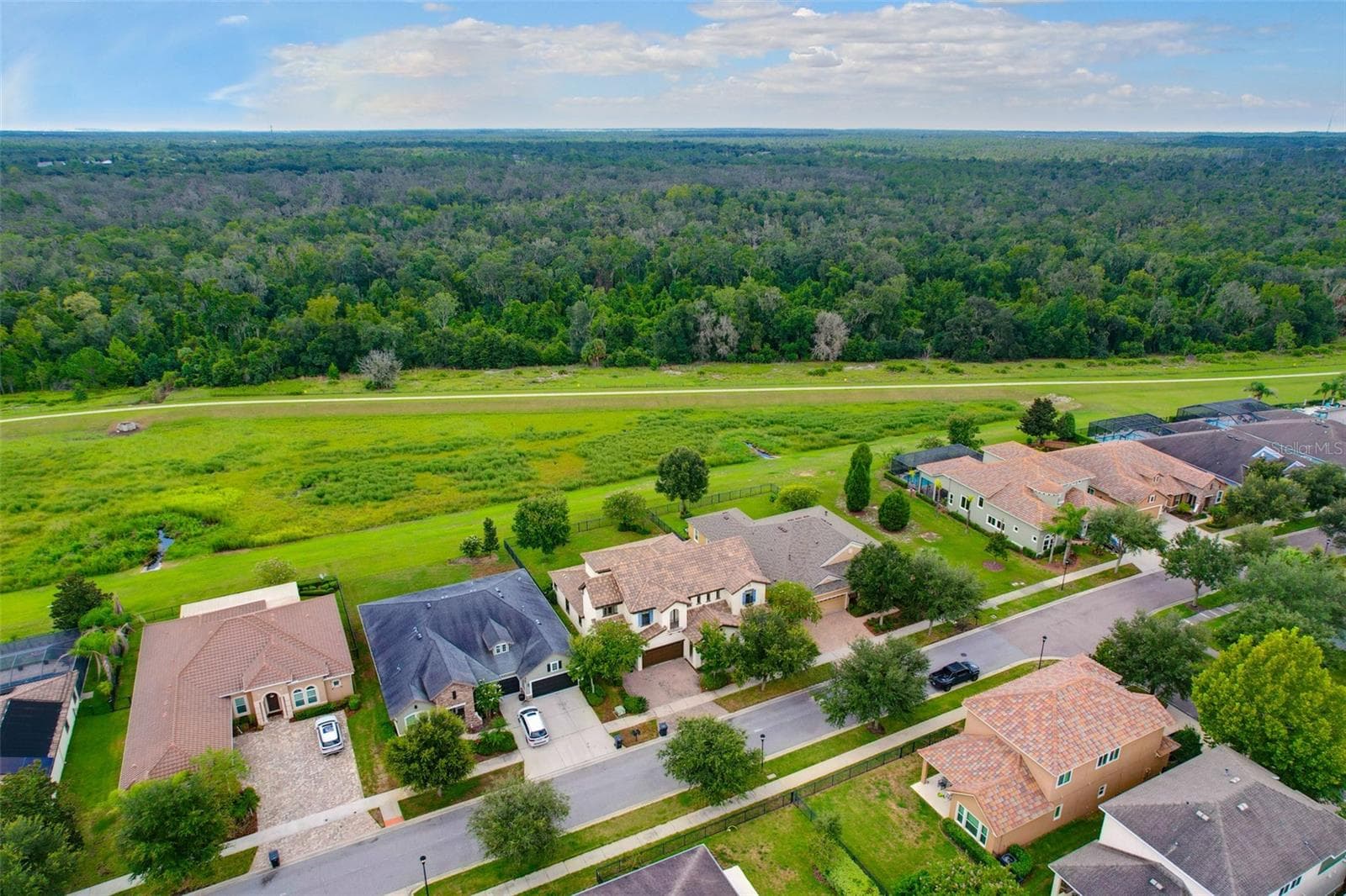 Single Family Residence at 5830 WATERCOLOR DR, LITHIA, photo 39 of 45