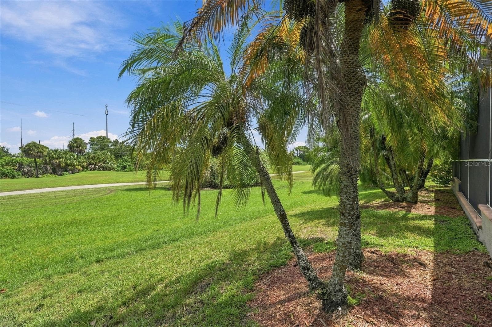 Single Family Residence at 9871 SAGO POINT DR, SEMINOLE, photo 33 of 43