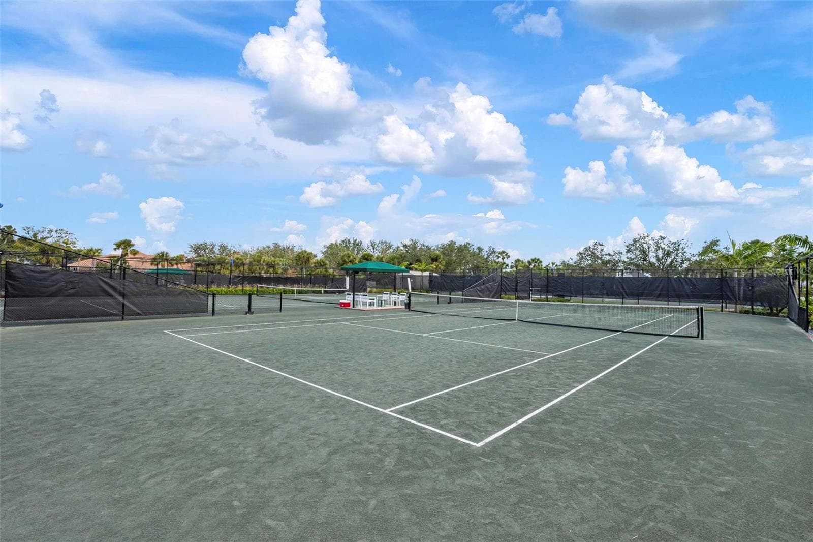 Tennis Court - 26886 PAVIN DR, ENGLEWOOD