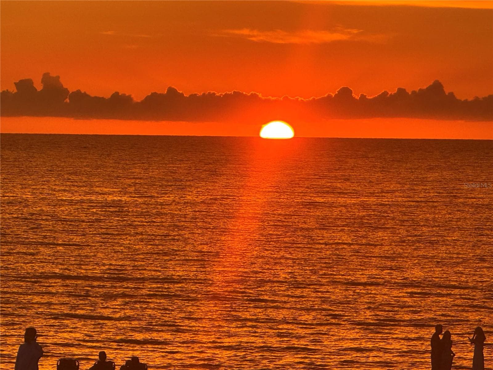 Beautiful Florida sunset - 342 MELROSE CT, VENICE