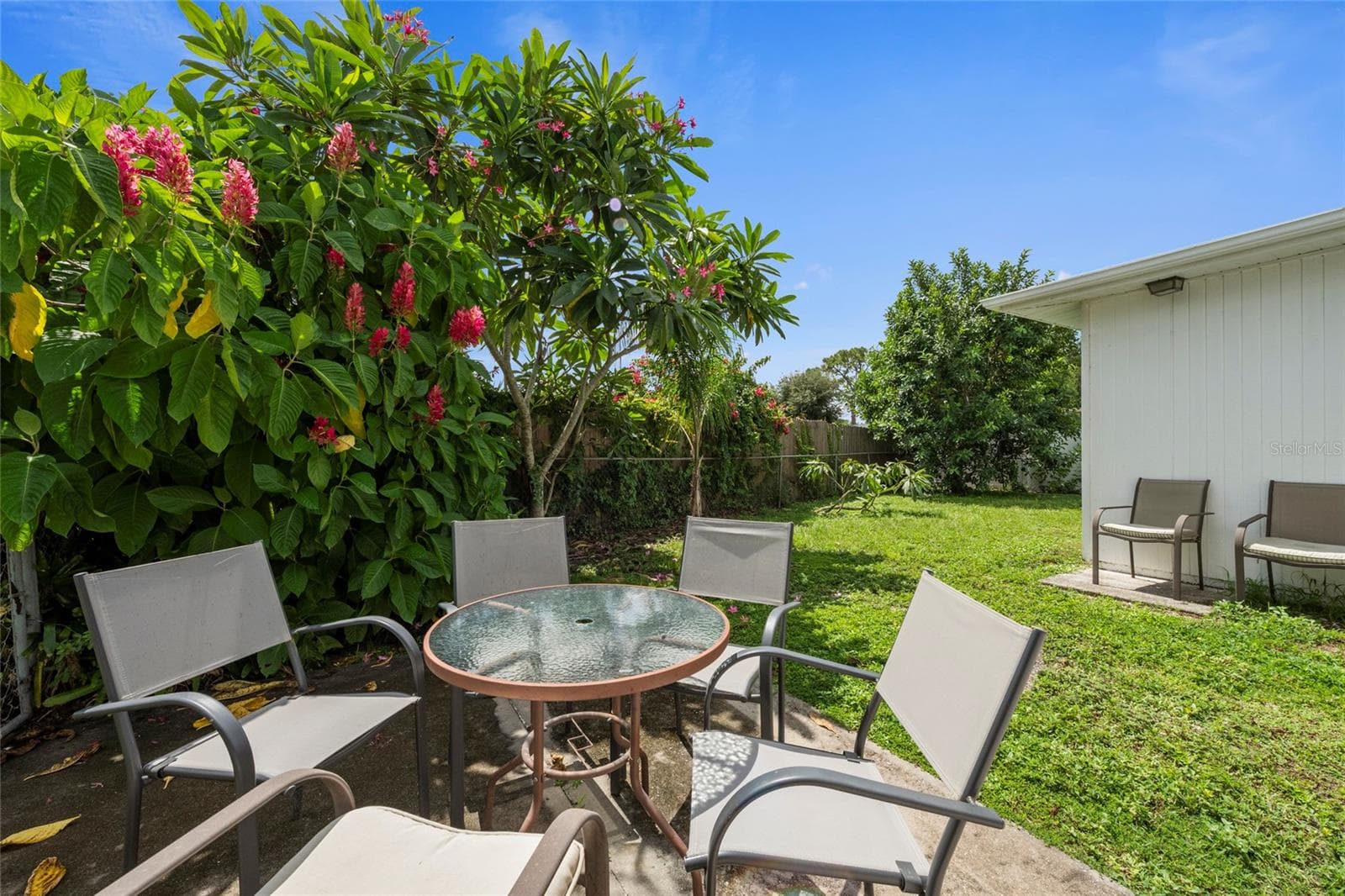 Backyard - 4594 PARNELL DR, SARASOTA