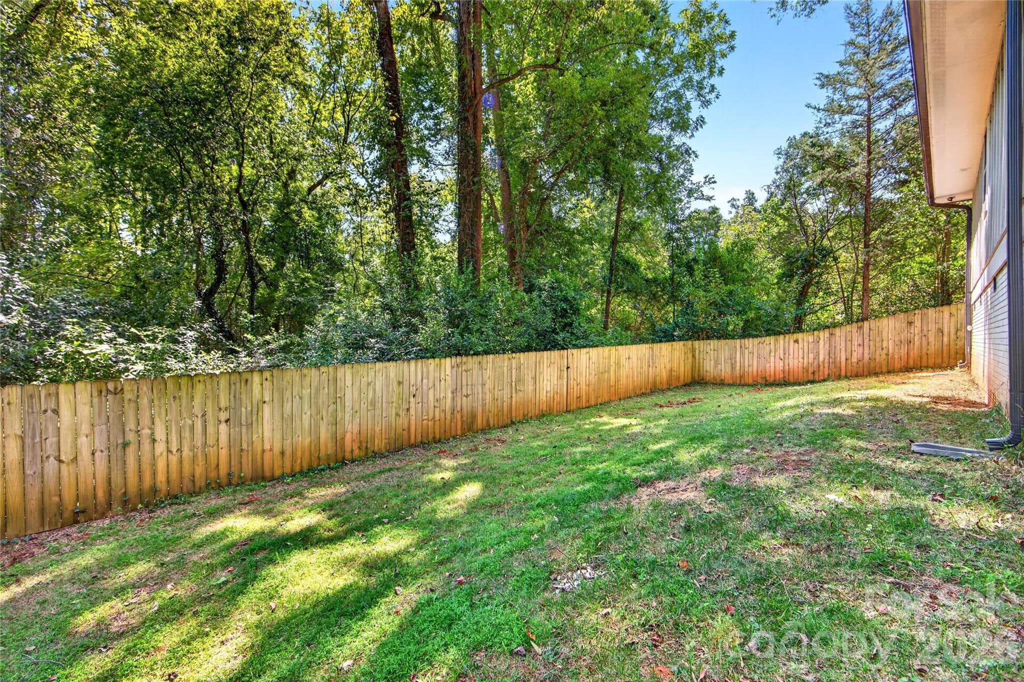Backyard - 1837 Camp Greene Street, Charlotte