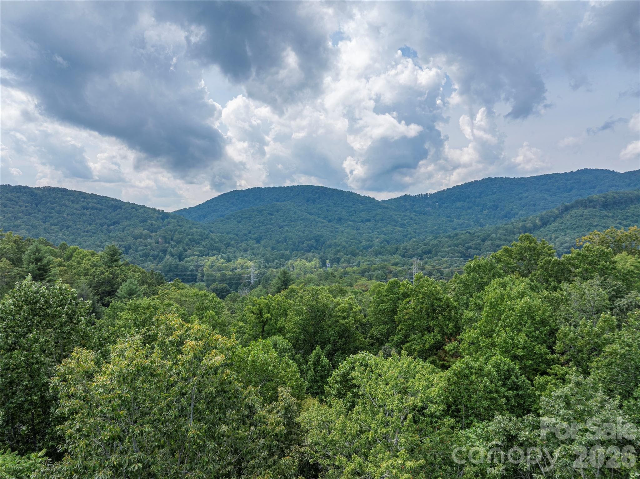 Views!! - 116 Ivy Road, Mills River