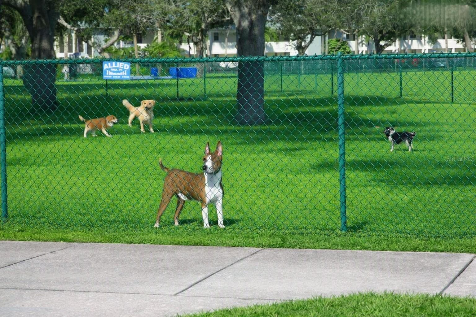 DOG PARK - 255 CAPRI CIR N #30, TREASURE ISLAND