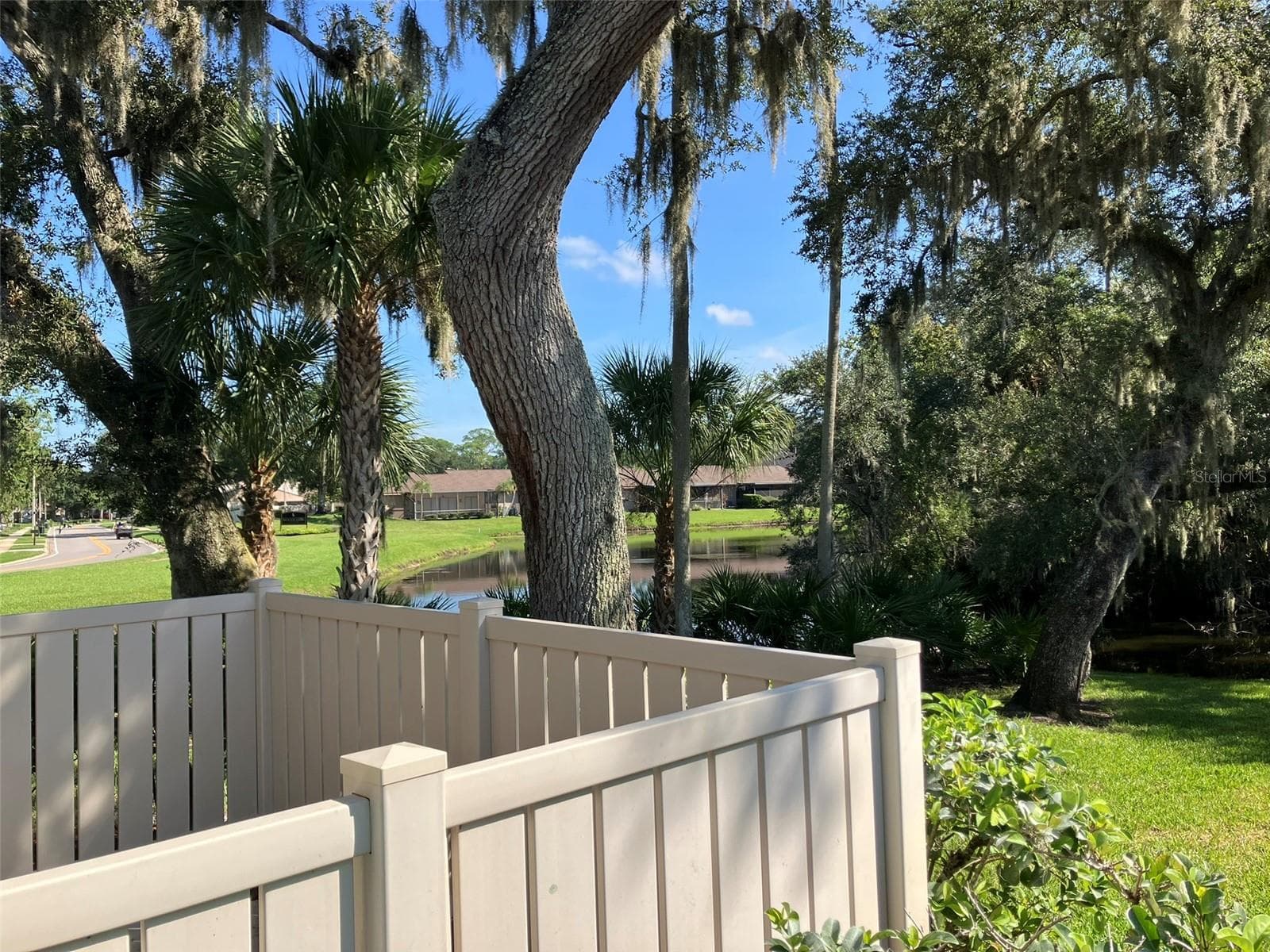 Side Yard - 110 EVELYN CT, OLDSMAR
