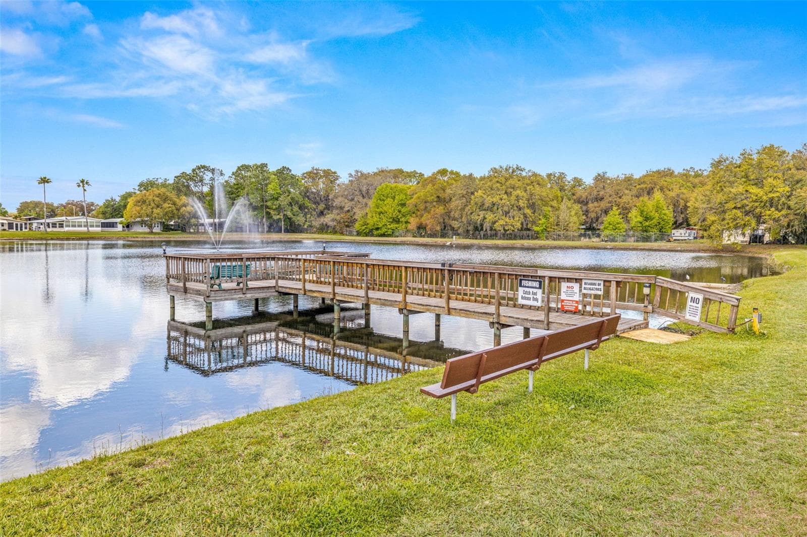 Stocked fishing lake right near the clubhouse. - 3041 SHORT LEAF ST, WESLEY CHAPEL