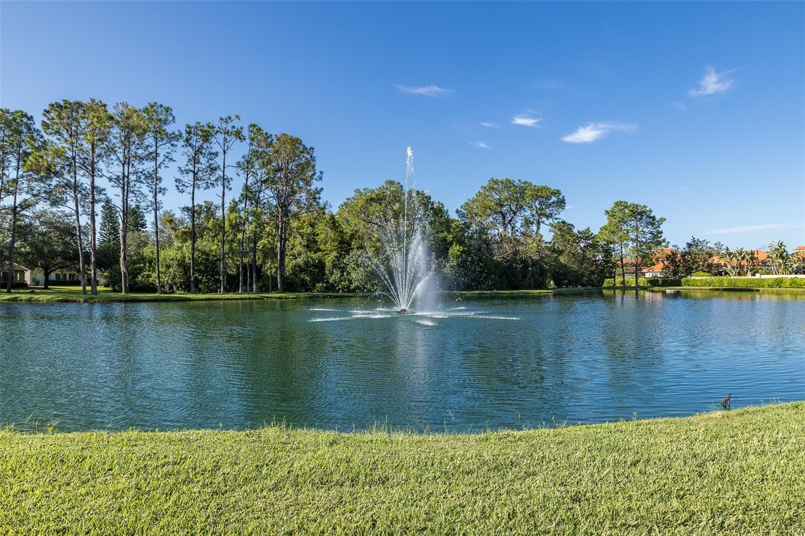 Single Family Residence at 1856 ARBOR KNOLL LOOP, TRINITY, photo 62 of 86