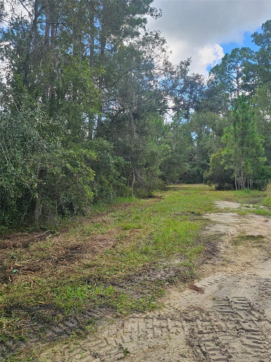 1746 COUNTRY WOODS DR