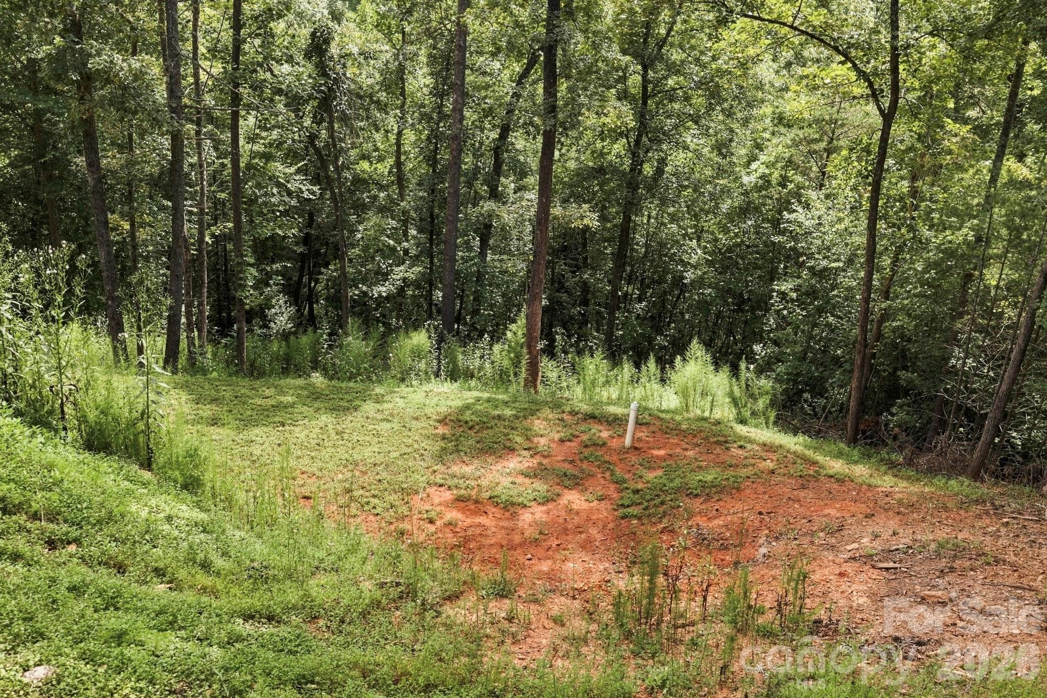 hiking trails on property - 678 Forest Lake Heights Drive, Nebo