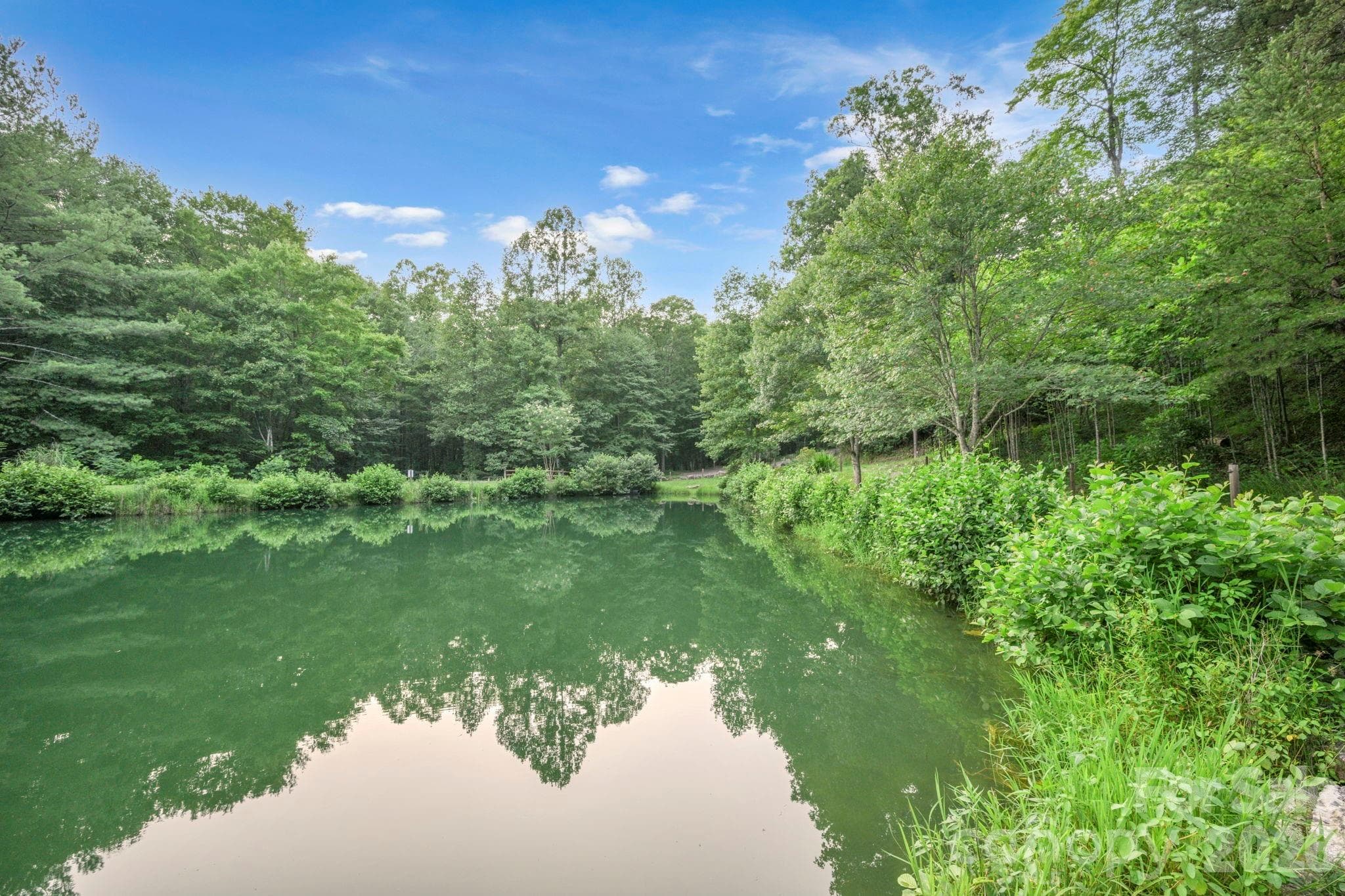 Stocked Community Pond - 1158 Staghorn Road, Purlear