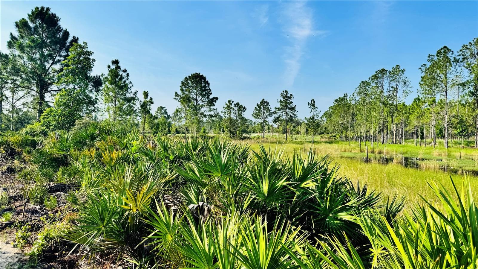 Single Family Residence at 692 BIRDSWILL LN, DELAND, photo 17 of 17