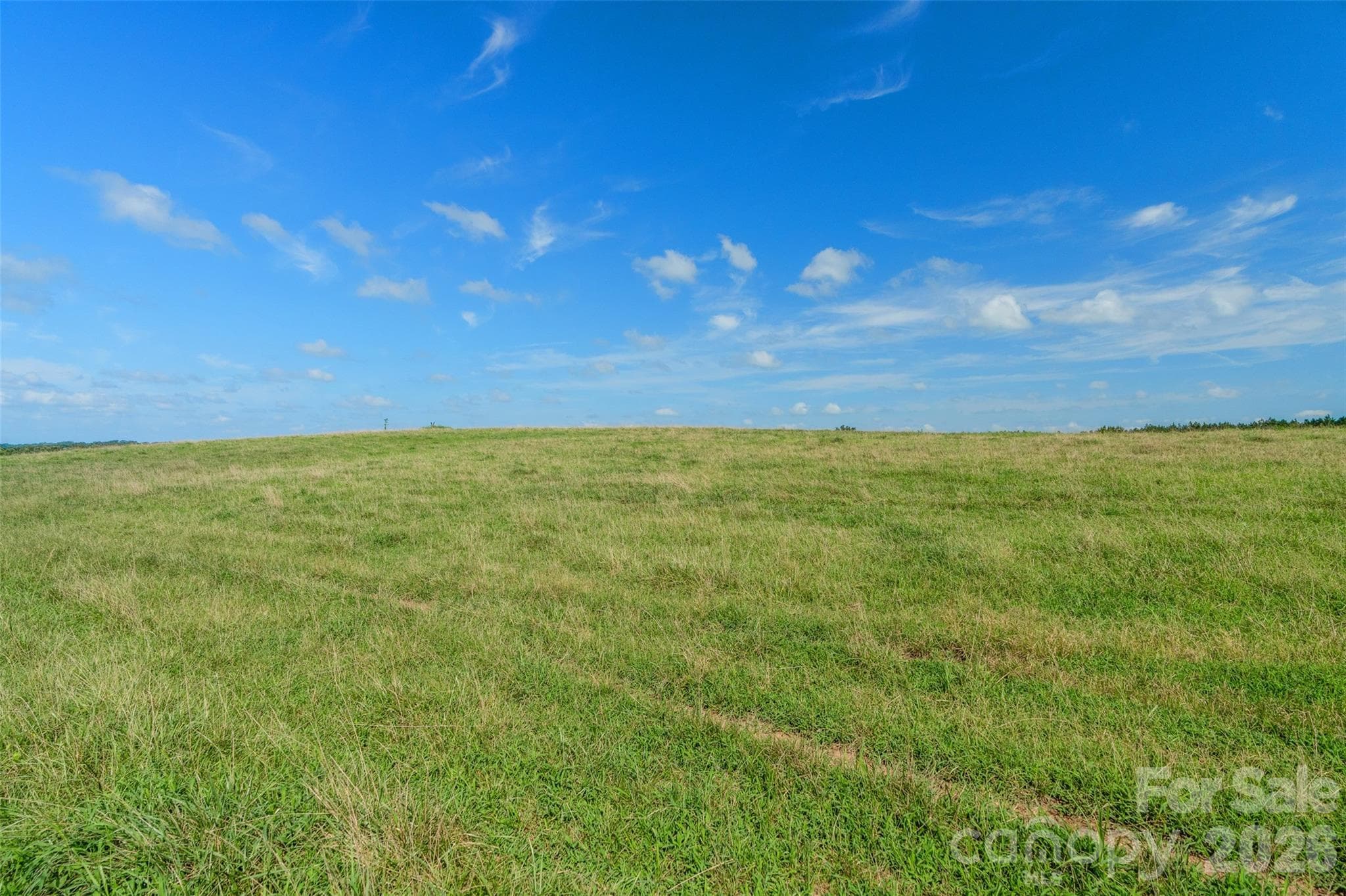 rolling pasture - 0000 Lucy Short Cut Road, Marshville