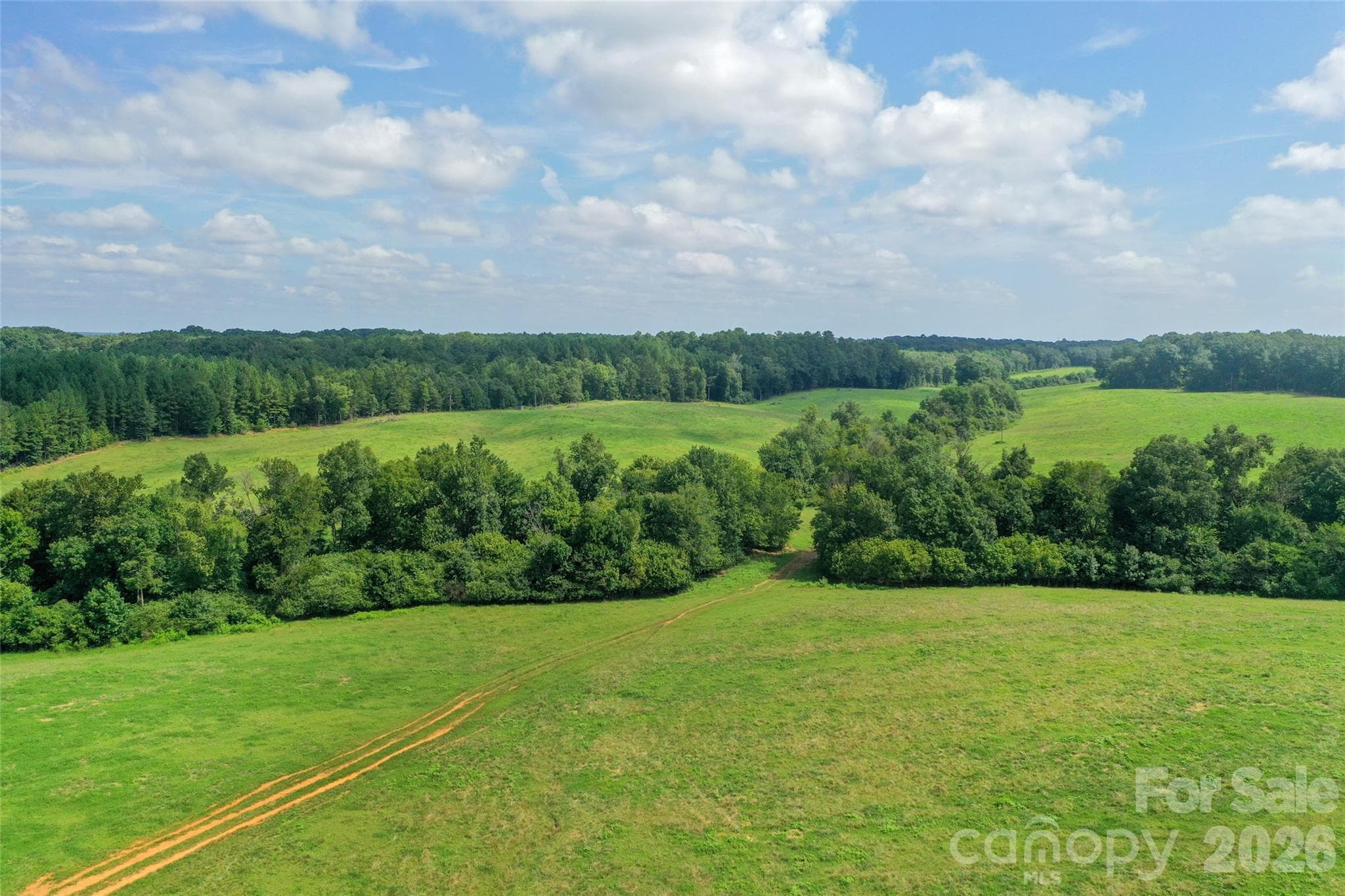 Acreage at 0000 Lucy Short Cut Road, Marshville, photo 11 of 48