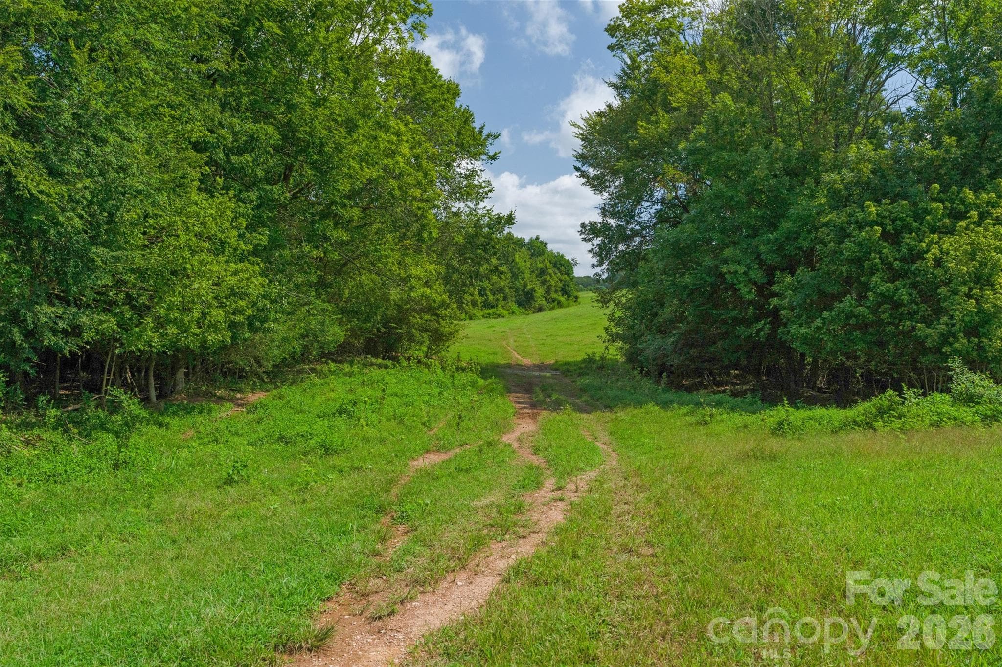 Acreage at 0000 Lucy Short Cut Road, Marshville, photo 40 of 48