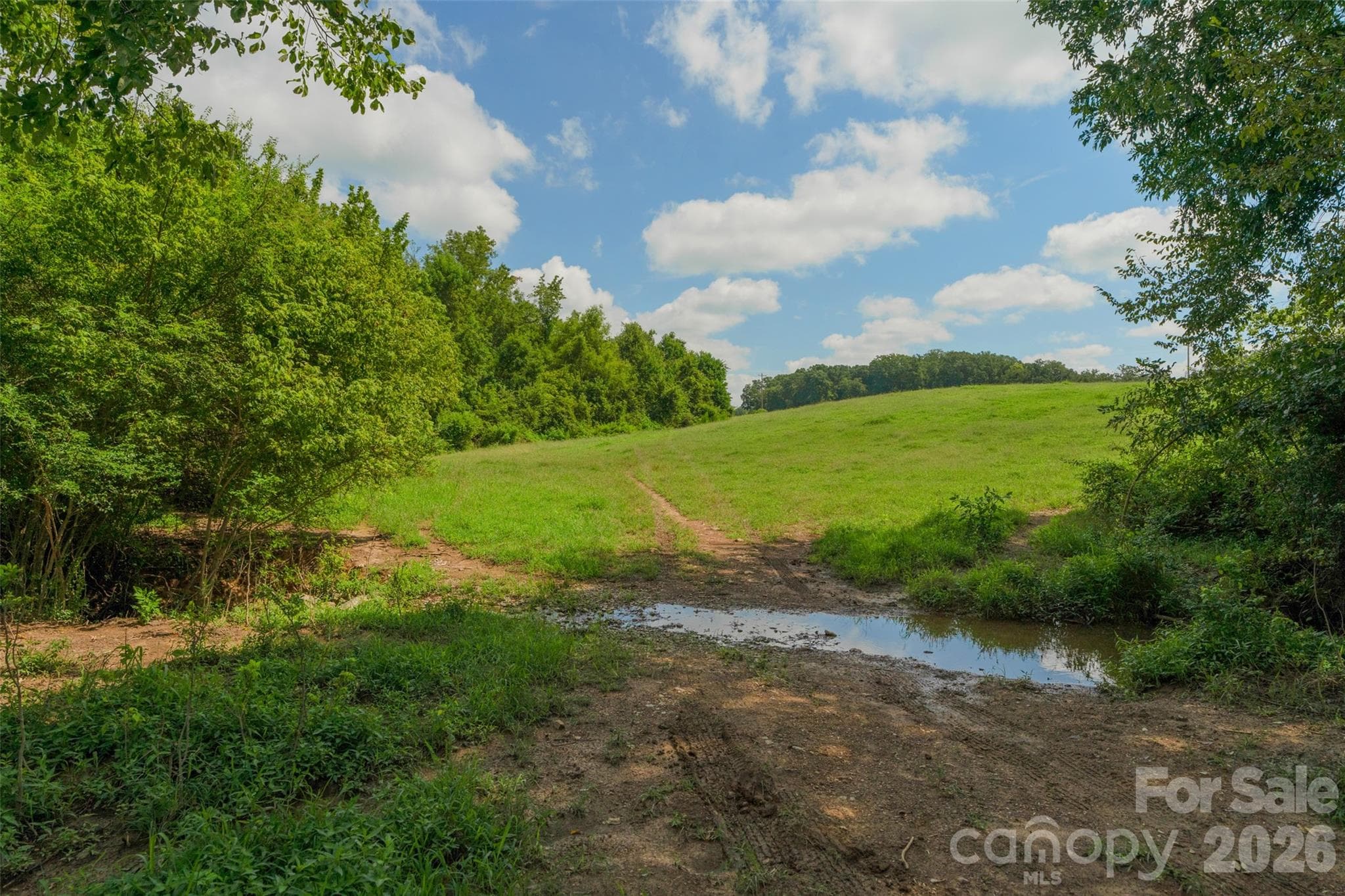 Acreage at 0000 Lucy Short Cut Road, Marshville, photo 41 of 48