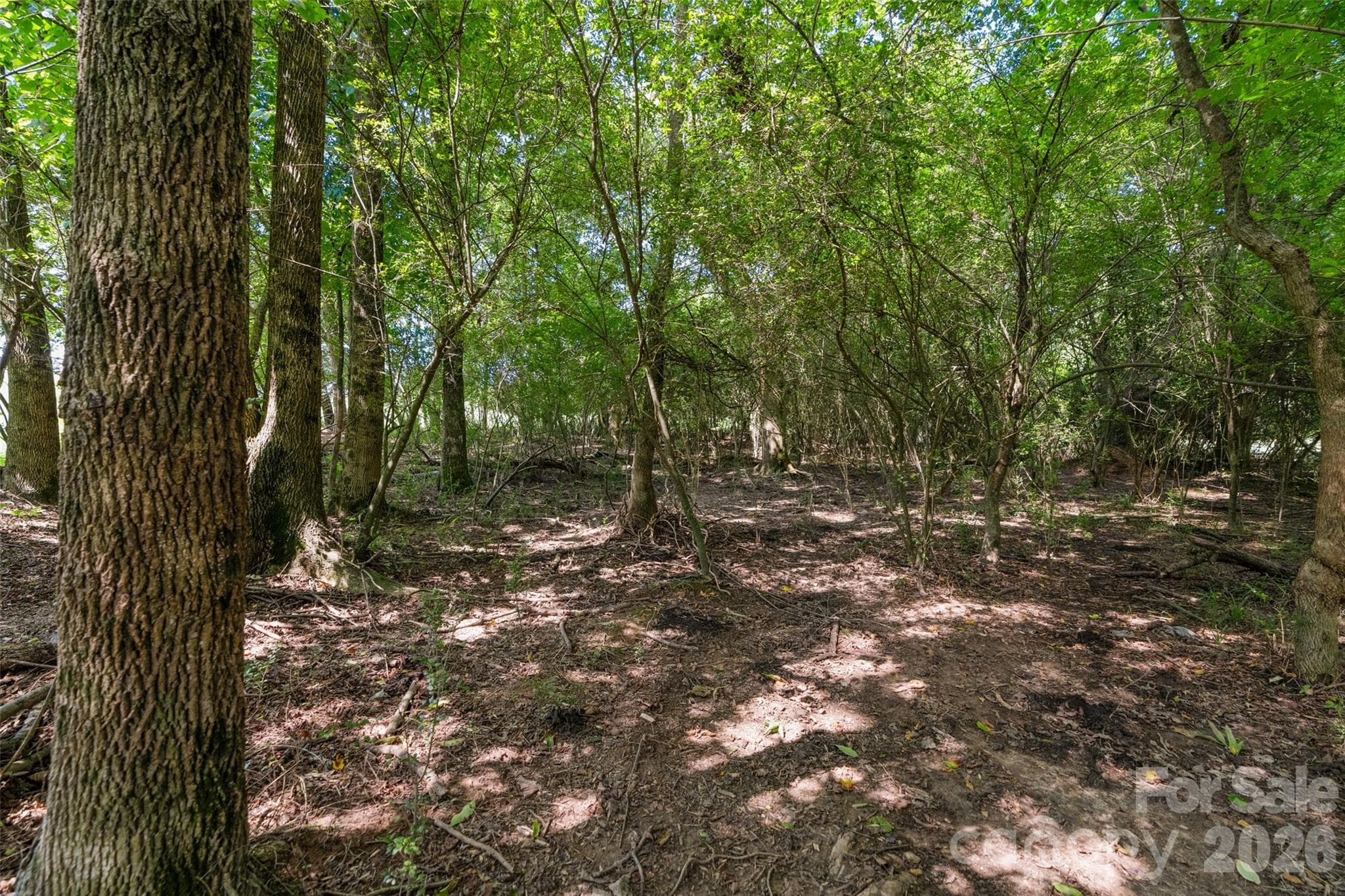 Acreage at 0000 Lucy Short Cut Road, Marshville, photo 43 of 48