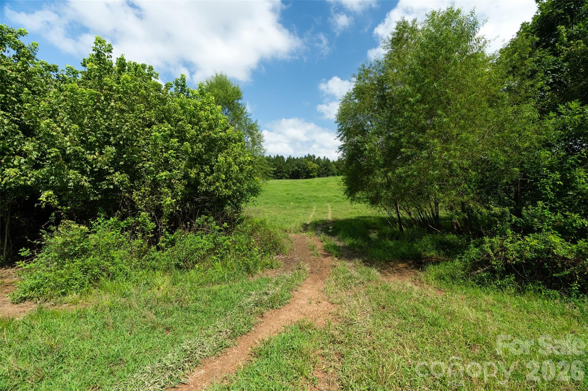 Acreage at 0000 Lucy Short Cut Road, Marshville, photo 45 of 48
