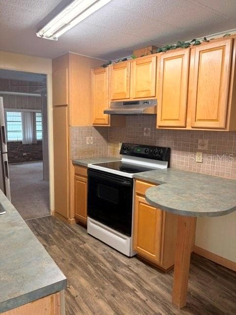 KITCHEN VIEW 1 - 84 CEDAR ELM DR #28, SAFETY HARBOR