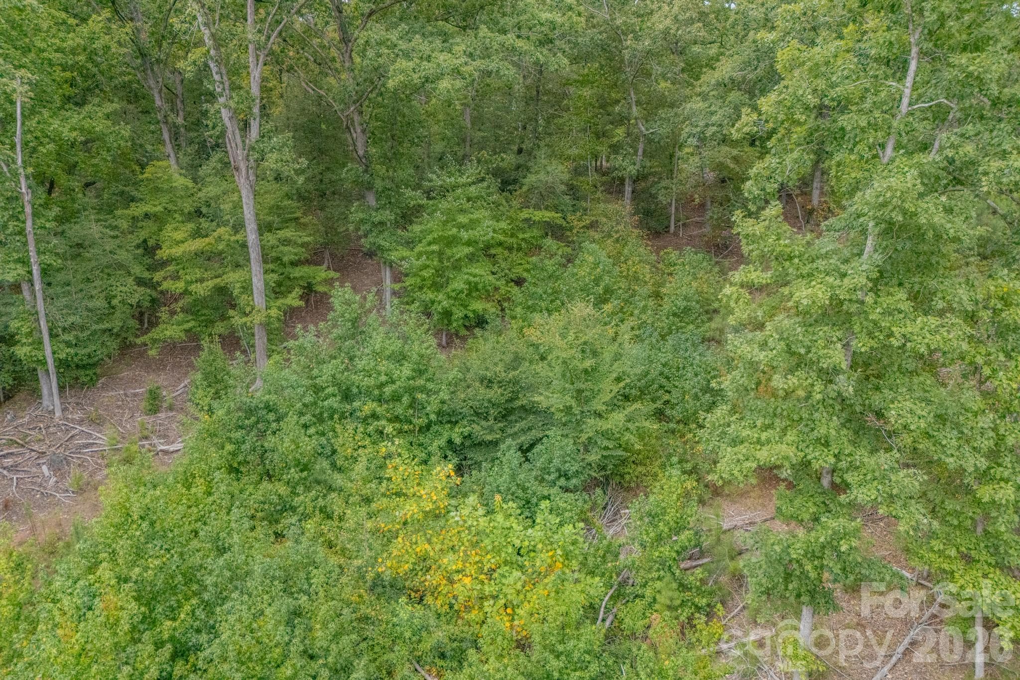 Acreage at 1513 Debutary Road, Great Falls, photo 34 of 47
