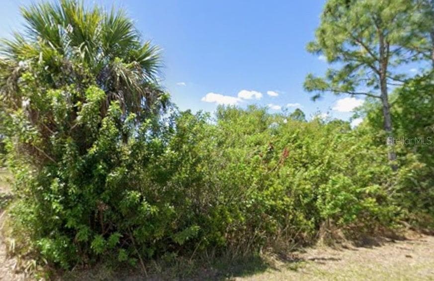 Land at 13243 CHIMINIELLO DR, PORT CHARLOTTE, photo 5 of 6