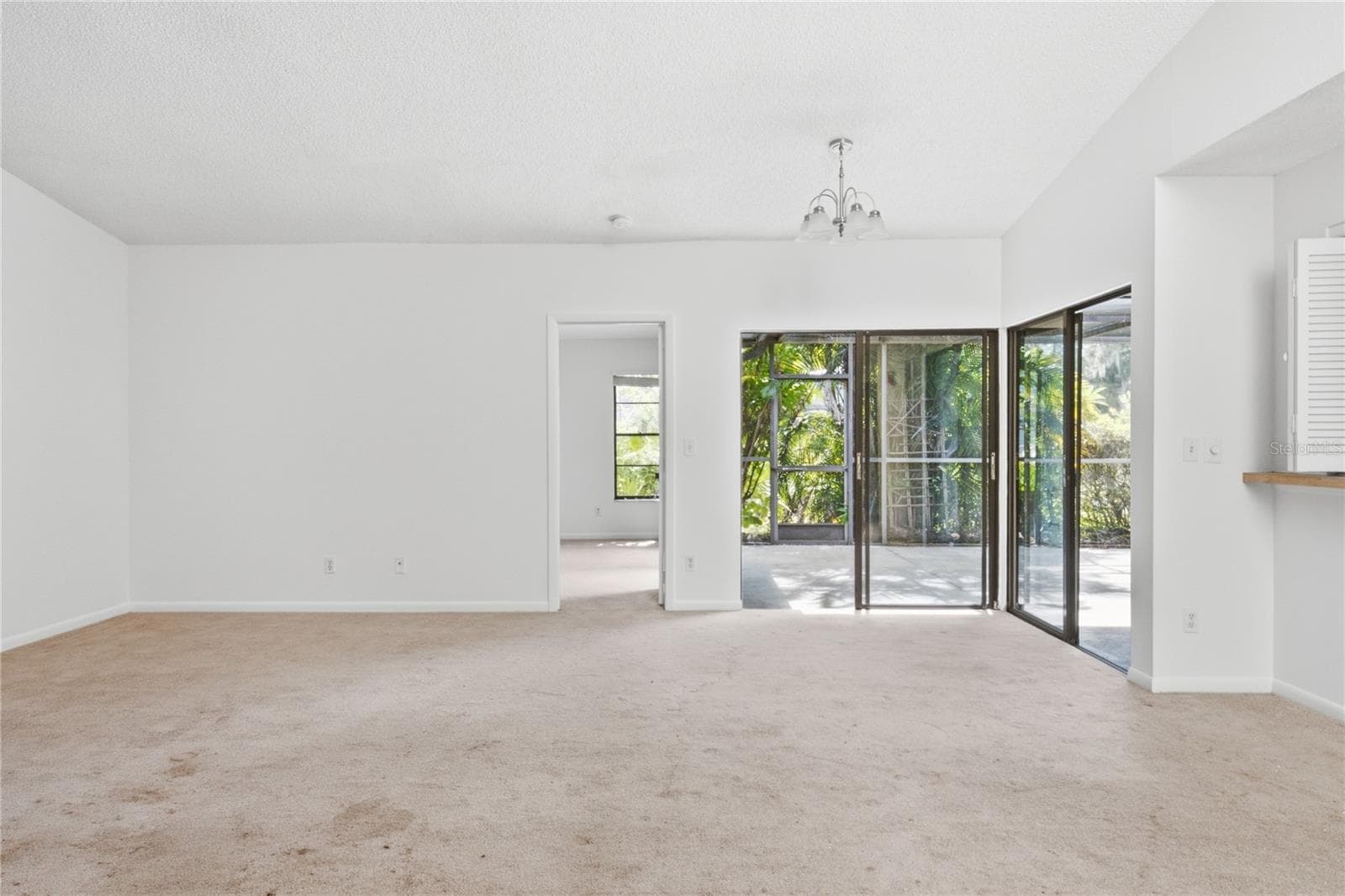 Townhouse at 135 PINEWINDS BLVD, OLDSMAR, photo 38 of 49